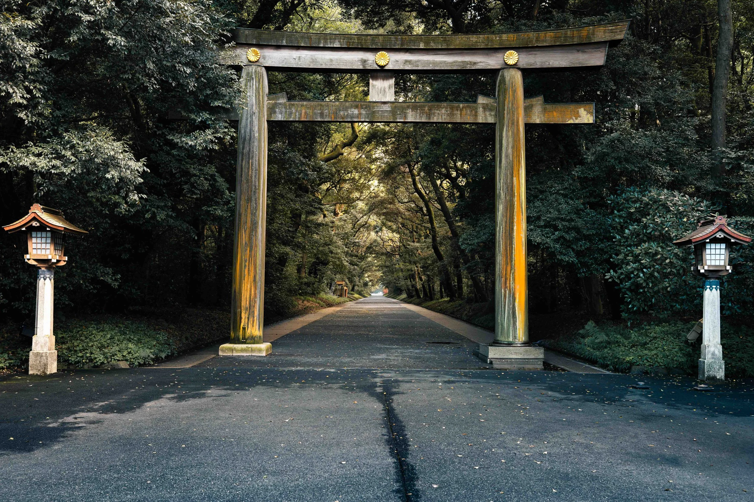 Photographie de paysage montrant un grand torii en bois marquant l’entrée d’un sanctuaire shinto au Japon. La porte traditionnelle se dresse au milieu d’une allée bordée d’arbres formant un tunnel végétal, créant une perspective profonde et une atmos