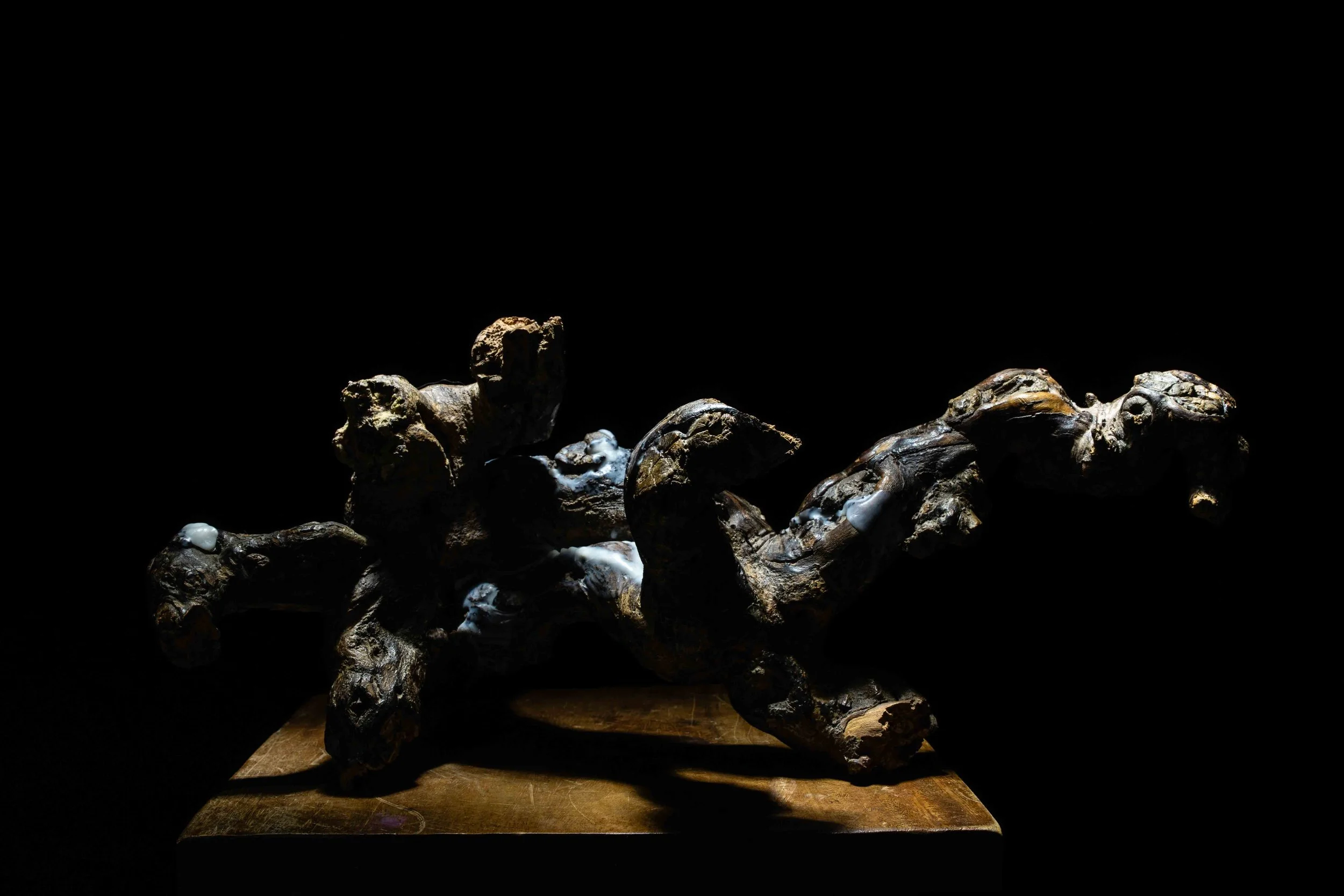 Nature morte en lumière contrôlée soulignant textures et volumes. Travail sur les contrastes et la lisibilité des formes en environnement studio.