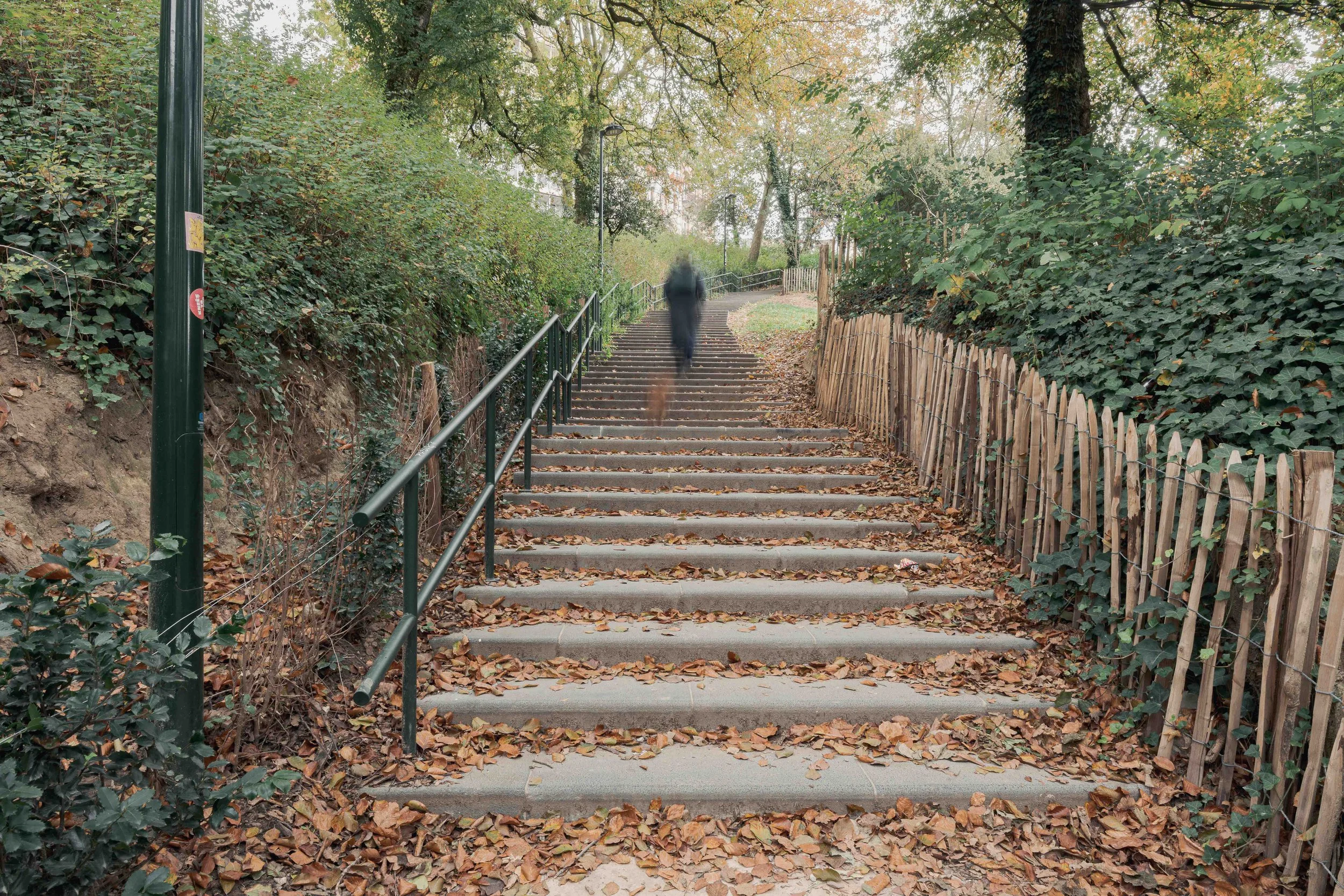 Architecture moderniste dans un parc. Composition horizontale, relation entre bâtiment, sol et arbres, lecture claire des volumes.