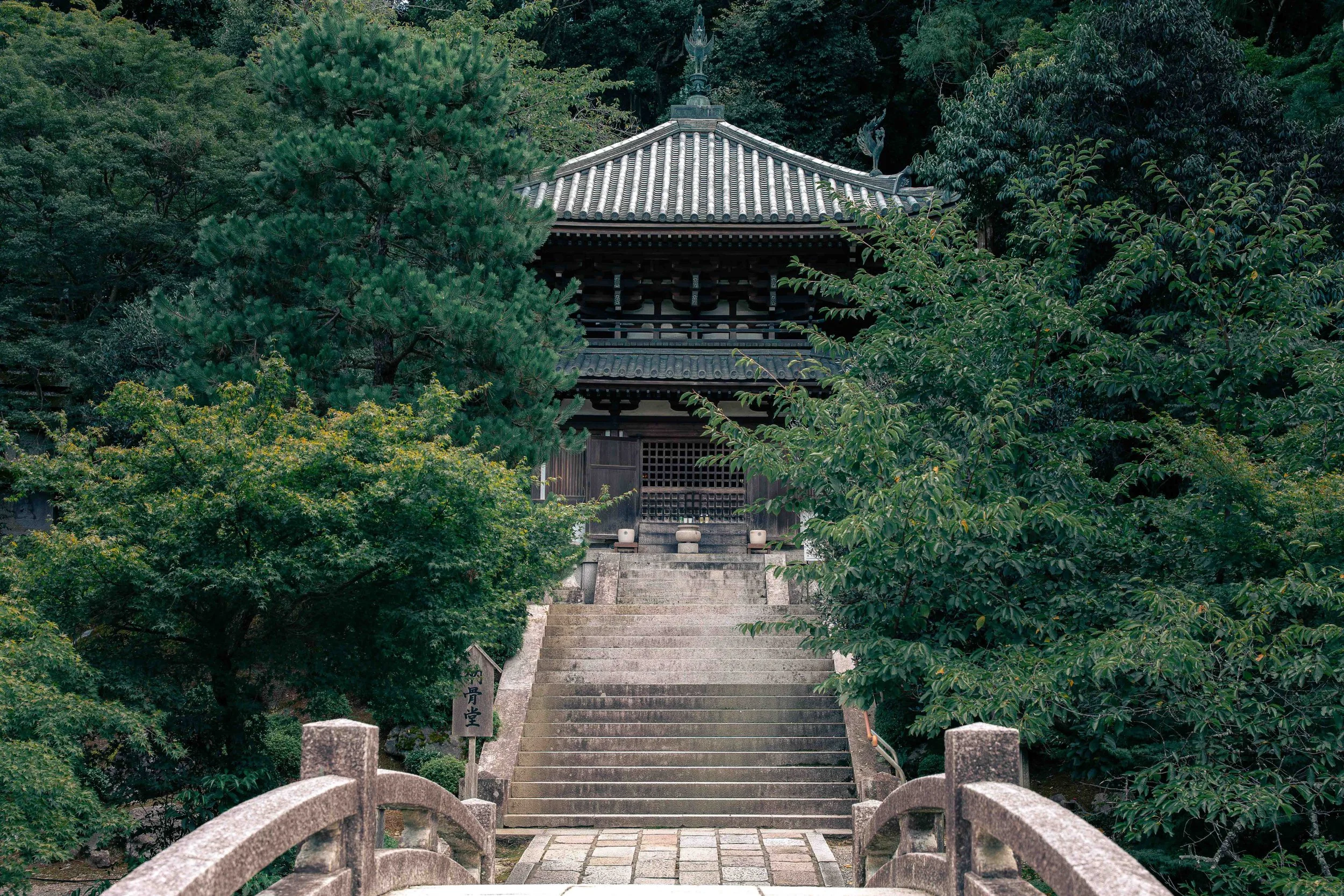 Photographie de paysage montrant un temple japonais traditionnel niché au cœur d’une végétation dense. Un petit pont en pierre mène à un escalier central qui conduit au pavillon principal, entouré d’arbres et de verdure. La composition symétrique et 