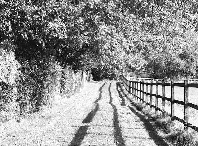 Farmland track image copyright Cowgill & Assoc 2024