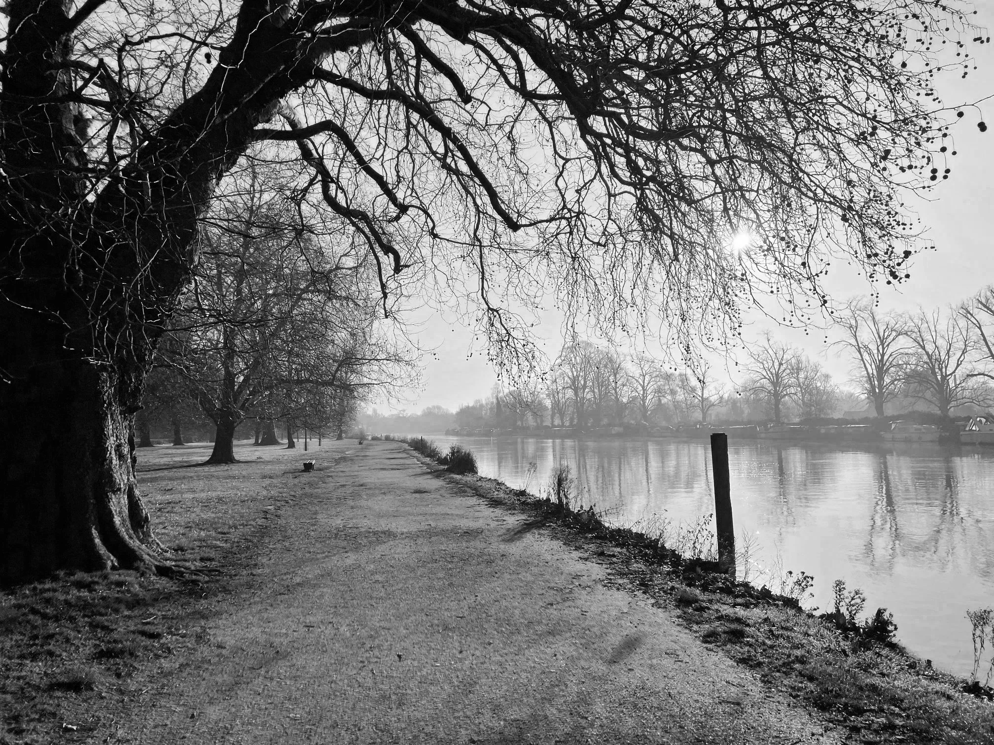 A black-and-white photo of an Oxford riverside park path lined with leafless trees, with calm water on the right side and the sun visible through the branches.