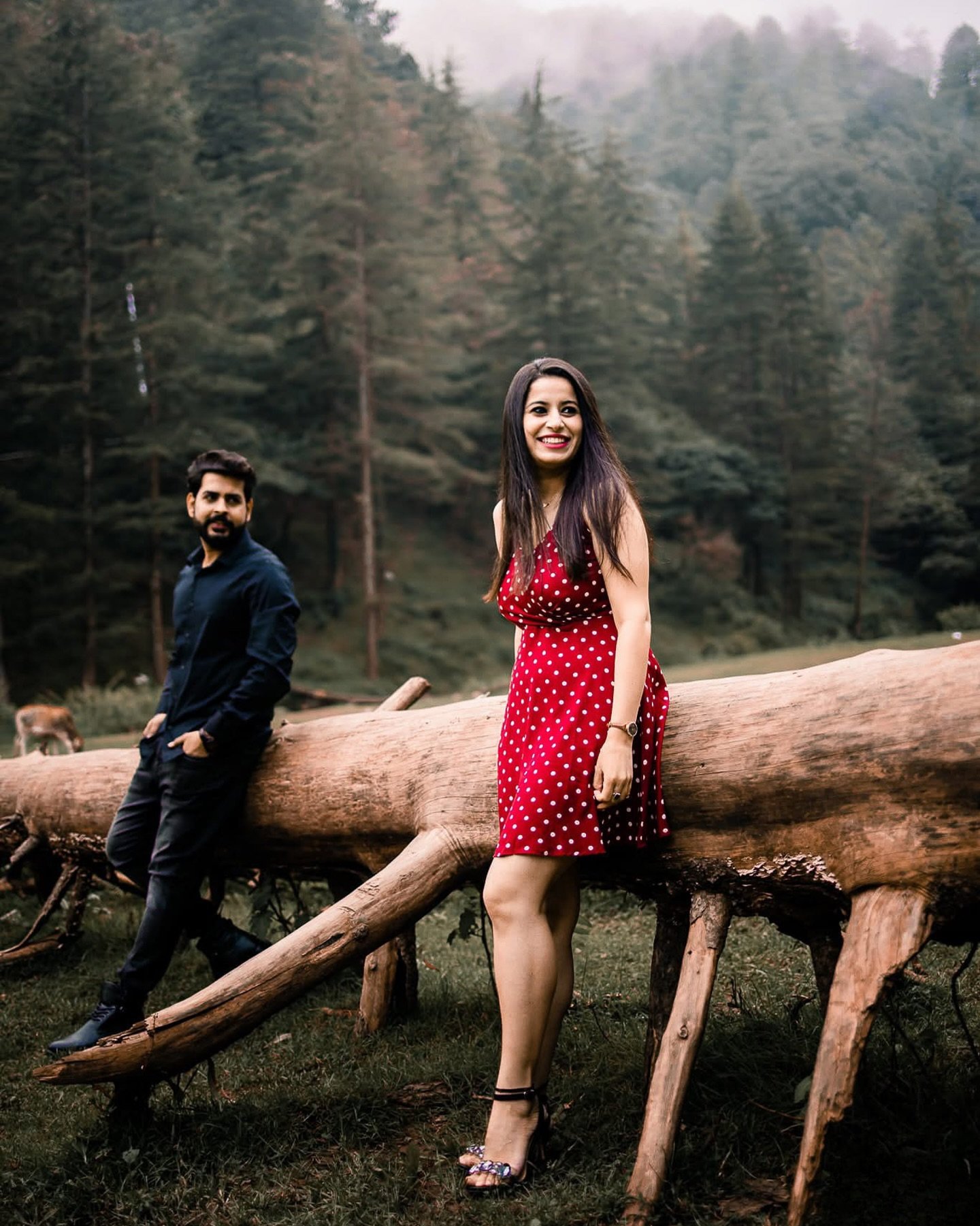 Somewhere between the silence of the woods and the sound of her laughter, I found everything I was looking for! 🫶🏻

Ekta &amp; Varad ✨

#prewedding #mussoorie #indianprewedding #weddingphotography #couplegoals #shaadisaga #weddinginspiration #engag