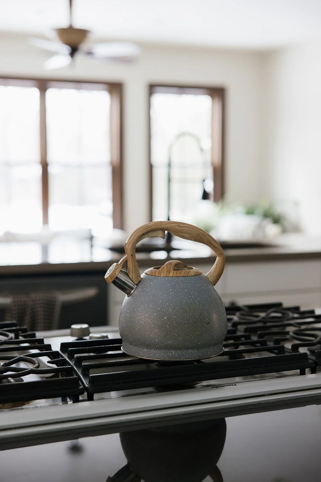 Portrait 22 Centre34.jpg