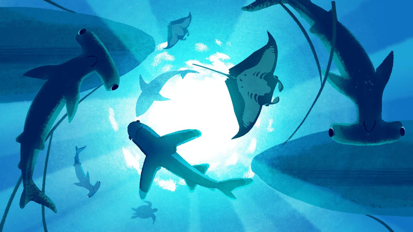 SharkTrust_Sc16-17_layers.webp