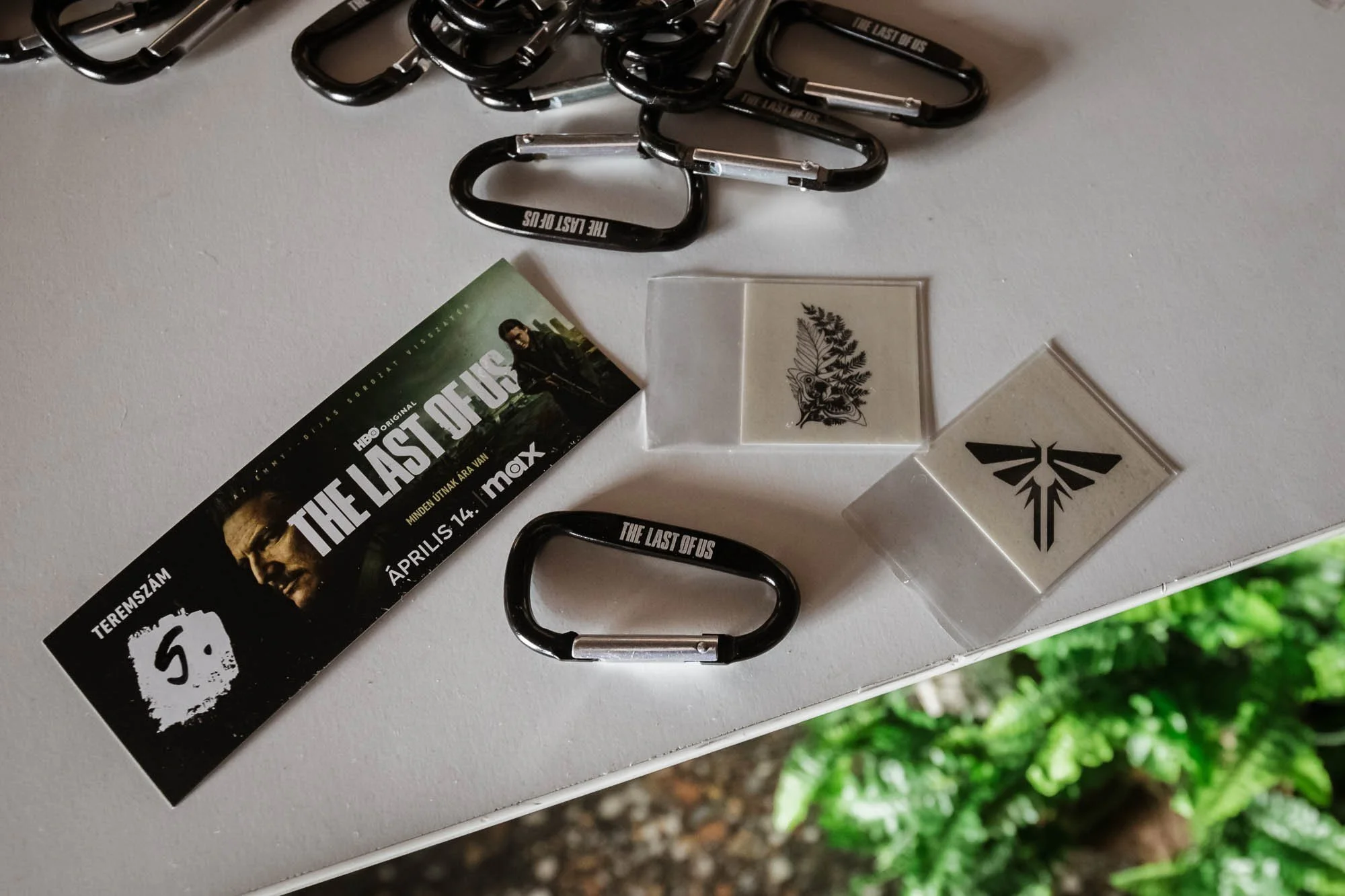 Max launch event / Fru - linesbyme.studio / Budapest Calligrapher.jpg