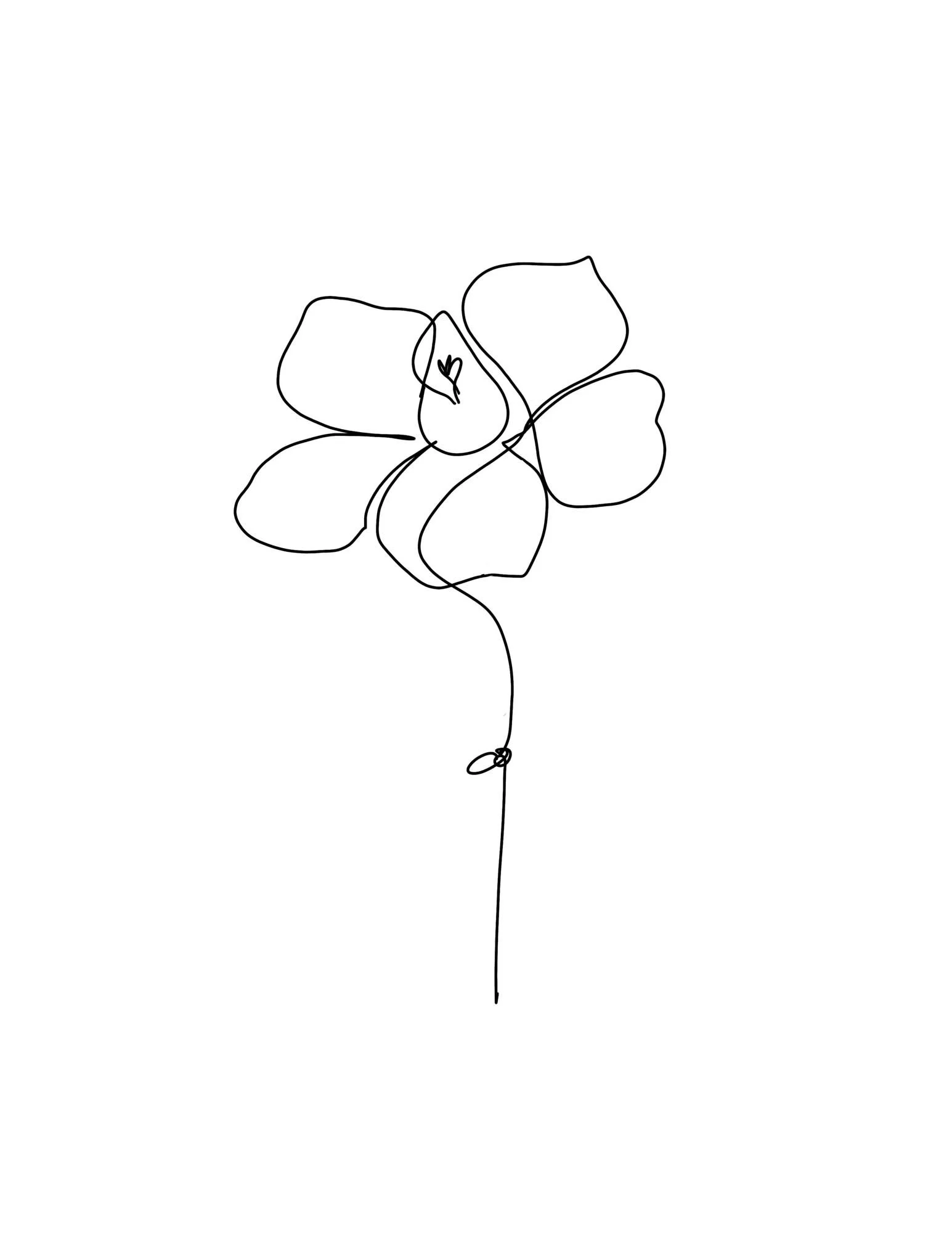 Gucci Flora / Fru - linesbyme.studio / Budapest Calligrapher.jpg