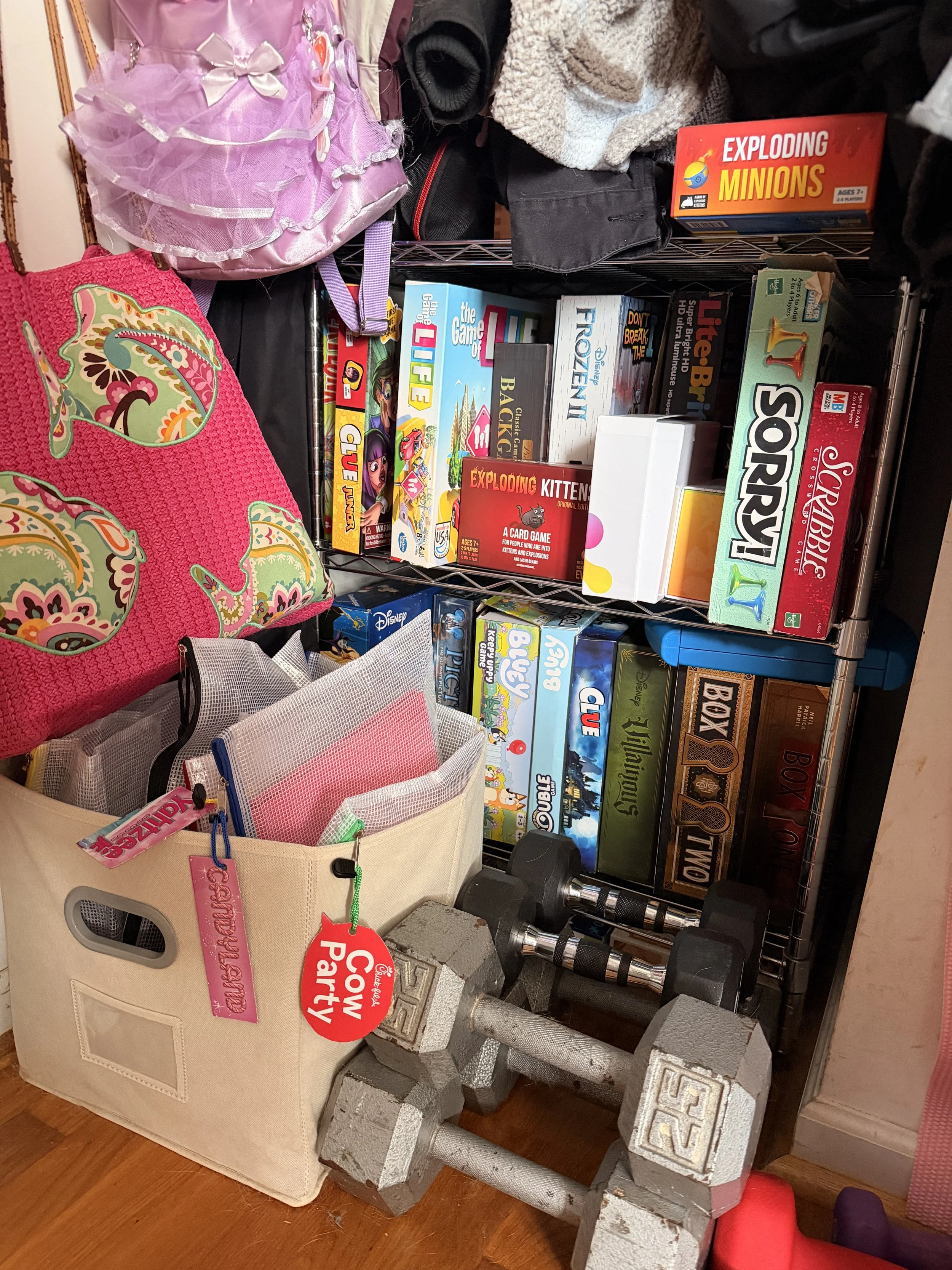 Mom Hack Monday: How We Reorganized Our Game Closet (and Got SO Much Space Back) 🎲✨