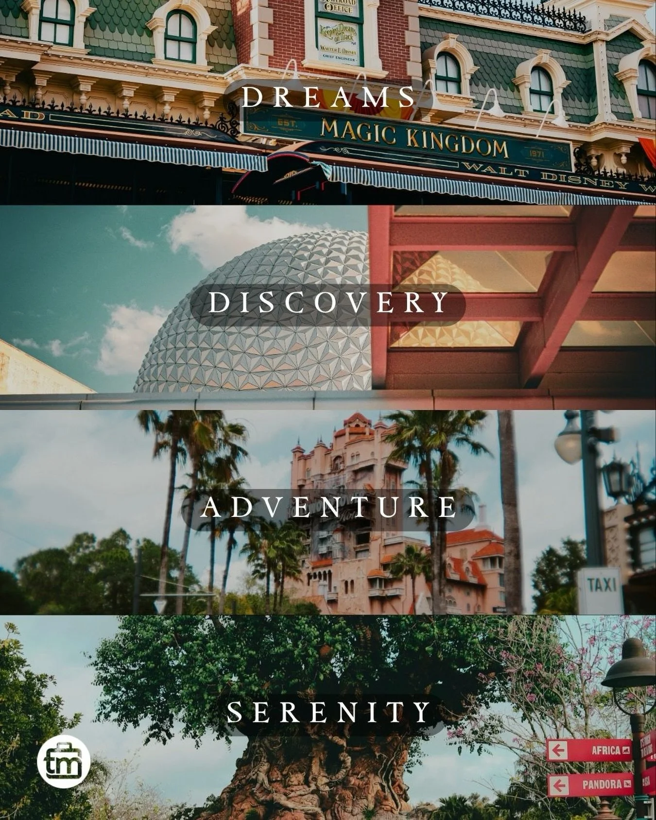 Disney isn&rsquo;t just a vacation. It&rsquo;s a whole vibe &mdash; and honestly, a whole personality. ✨

Which one are you?

🏰 Dreams &mdash; castle magic, fairy tale energy, all the feels

🚀 Discovery &mdash; Epcot brain, future-forward, always c
