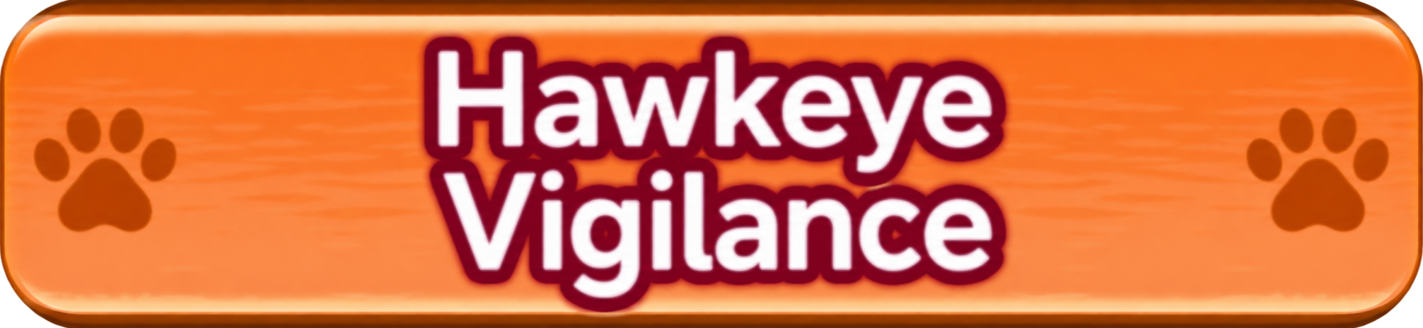 Hawkeye Vigilance