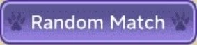 Purple button with the text 'Random Match' and paw print icons on either side.