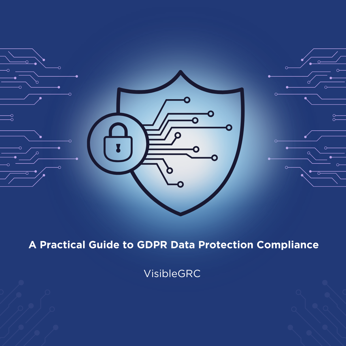 A Practical Guide to GDPR Data Protection Compliance