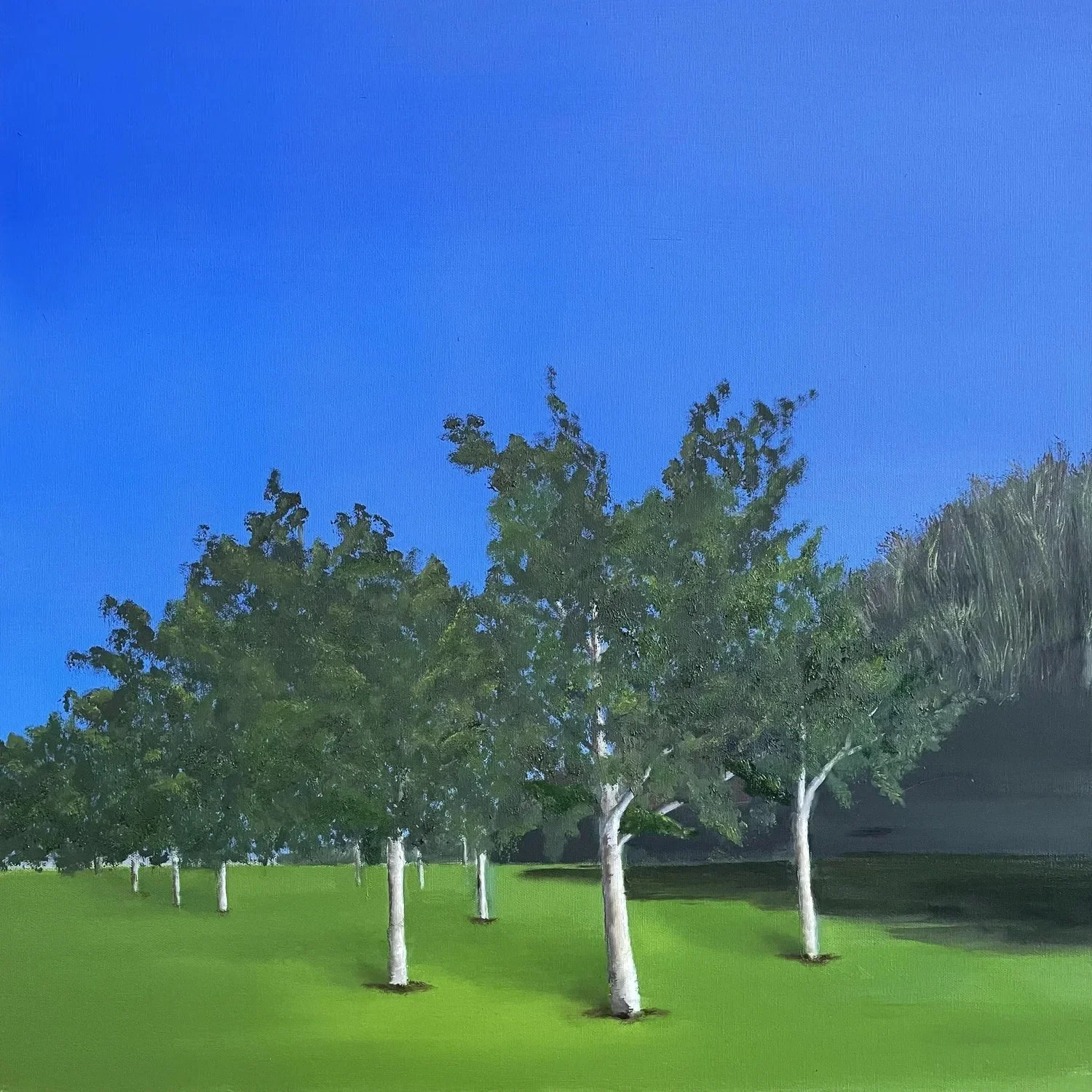 Seven Ponds Orchard, 24" x 24"