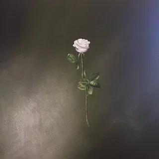 White Rose on Green, 30" x 30"