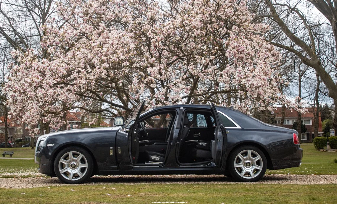 Rolls Royce Ghost in front of a tree in Blossom