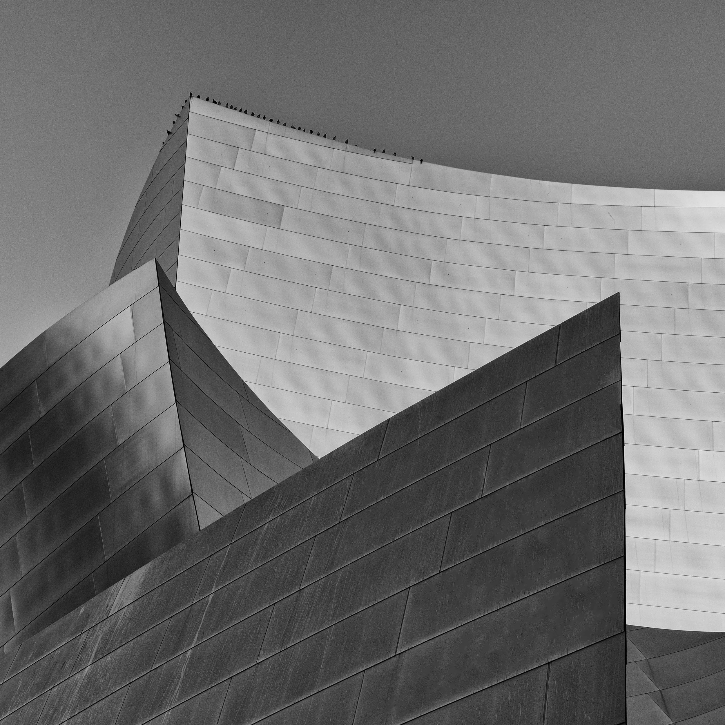JA_101520_064-Edit-Edit.jpg