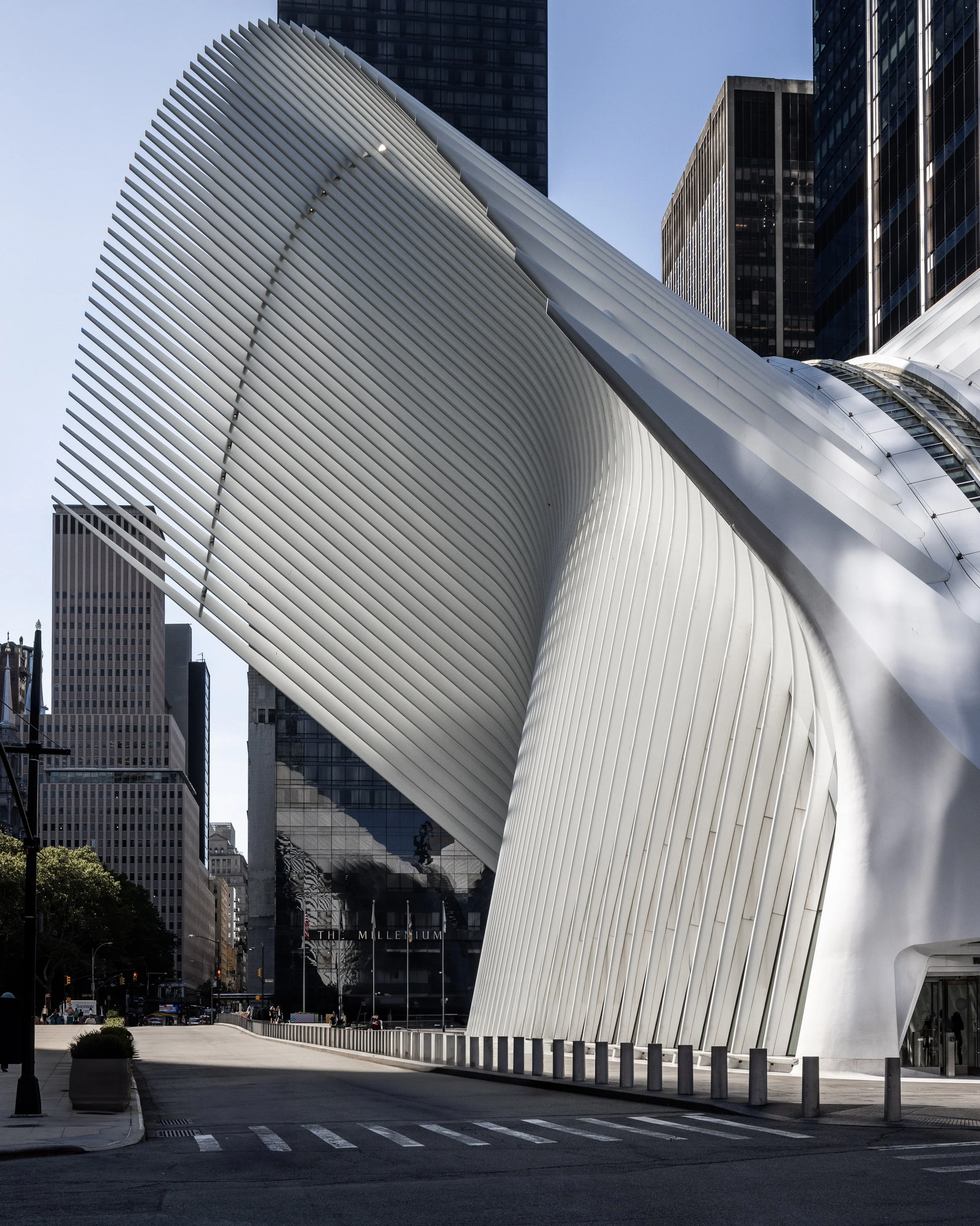 20220708_NYC_034-Final-Edit.jpg