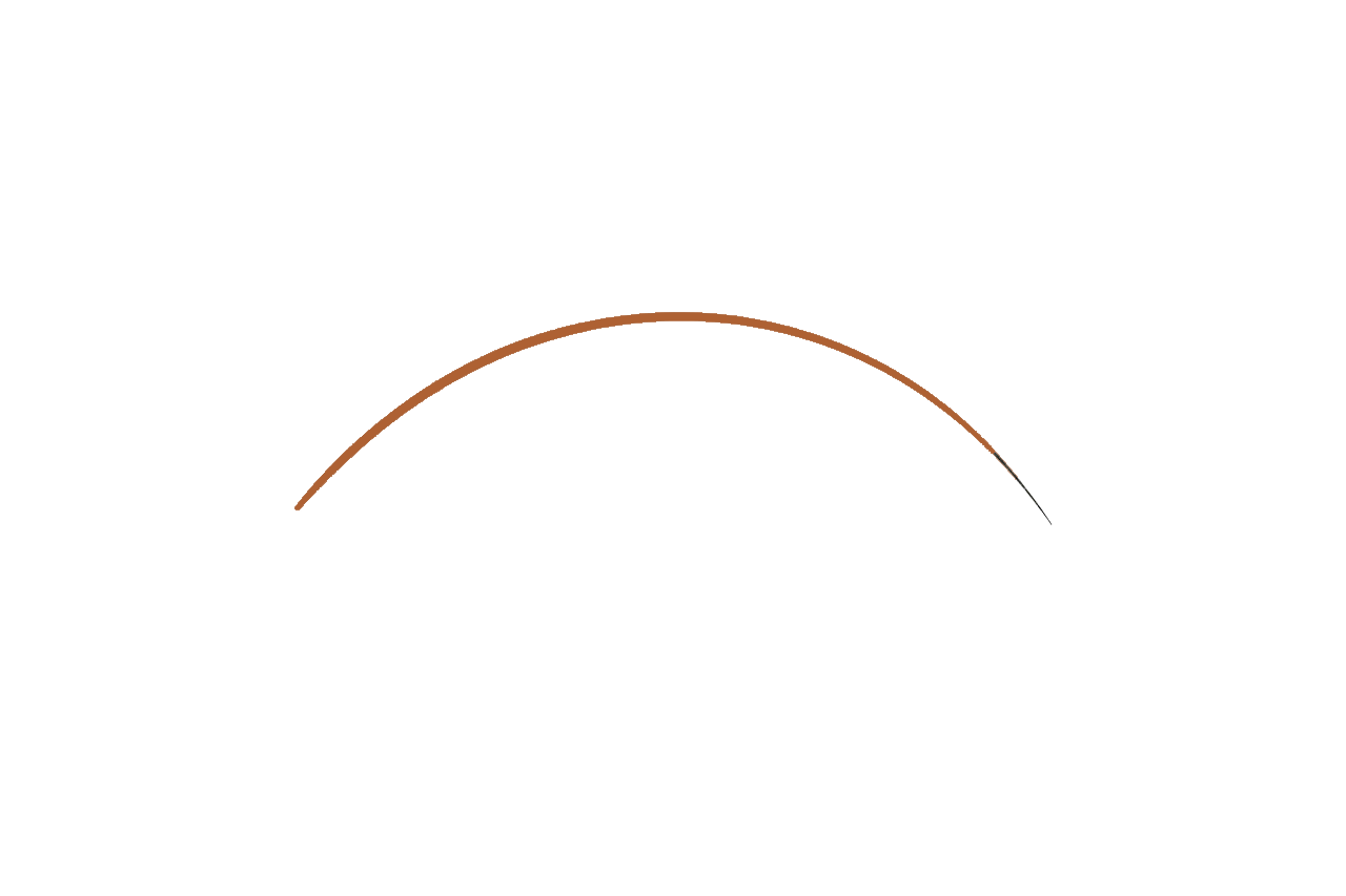 An illustration of a rainbow with a simple, curved brown line and a black line underneath.