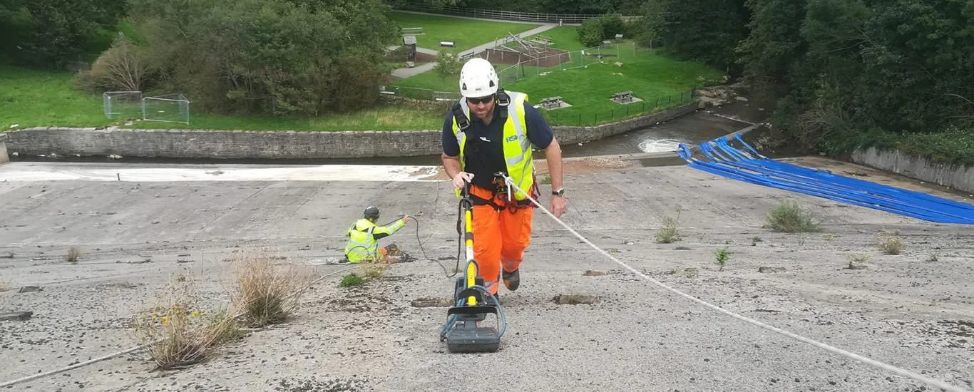 Geophysics for Dam Safety Assessment