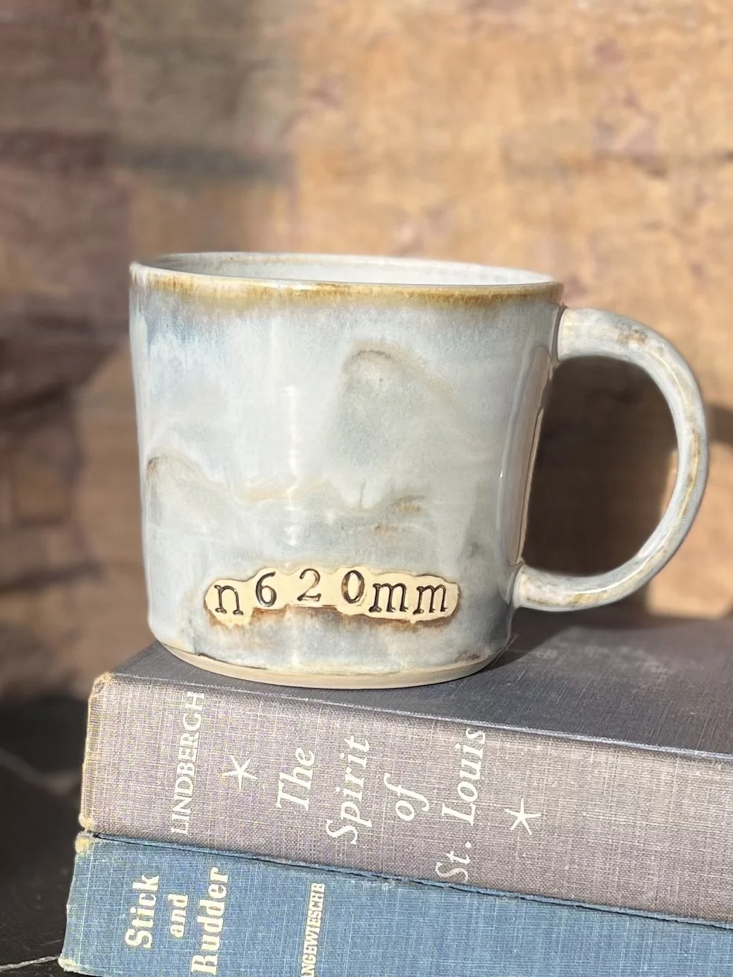 front plane mug with books.jpeg