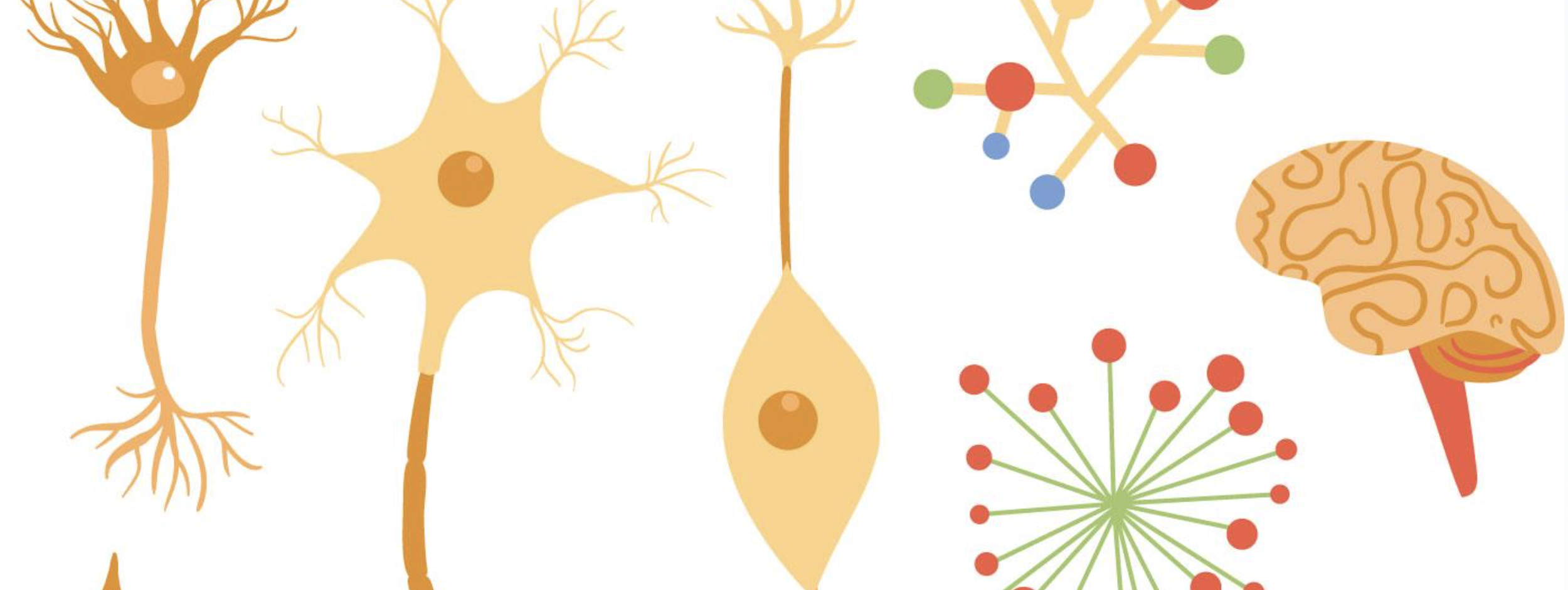 Illustration of various stylized human neurons, synapses, and brain structures, using shades of orange, yellow, green, red, and blue.