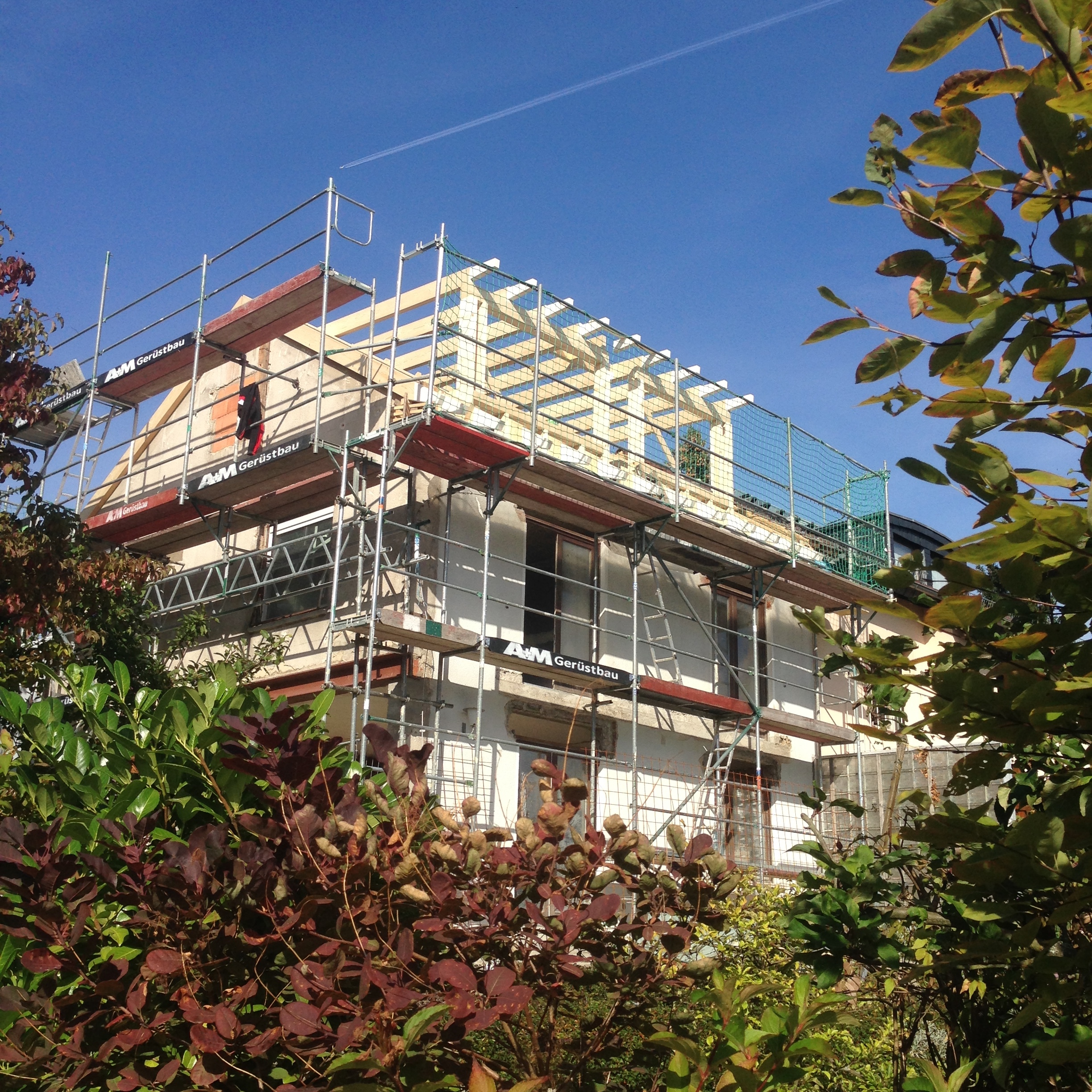 2016-10-14 12.27.22.jpg