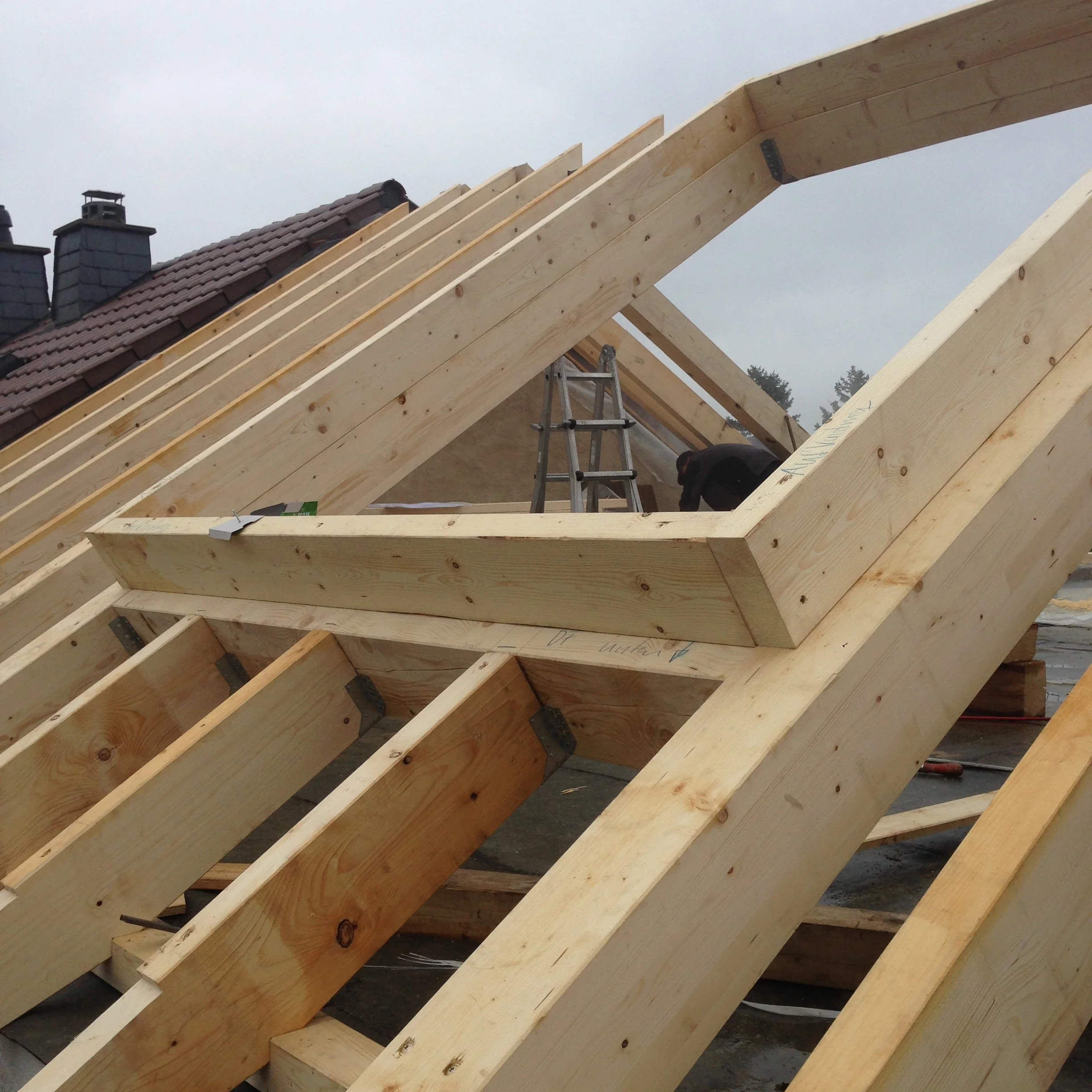 2016-10-12 13.56.15-1.jpg