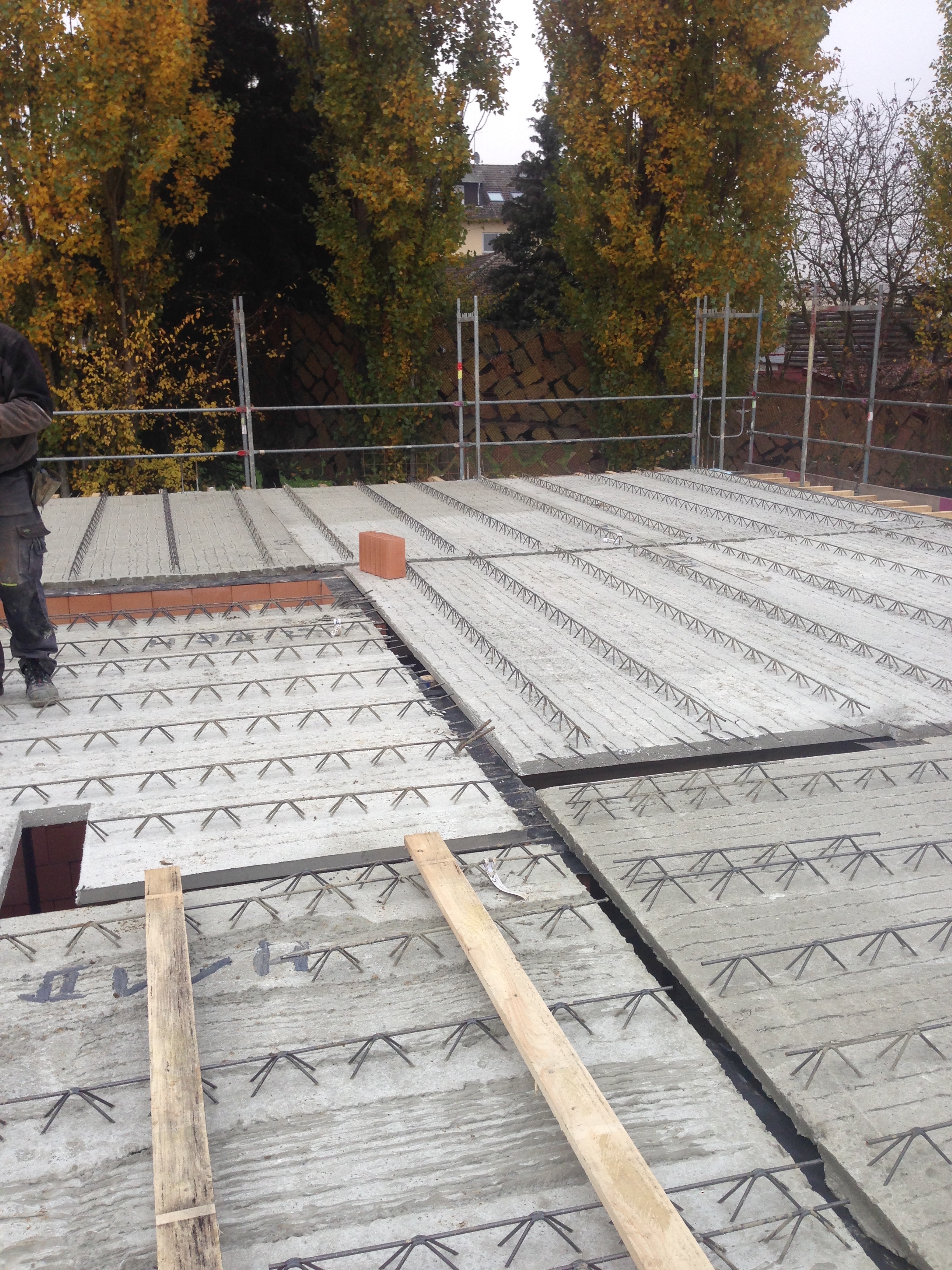 2016-11-01 11.53.27-1.jpg