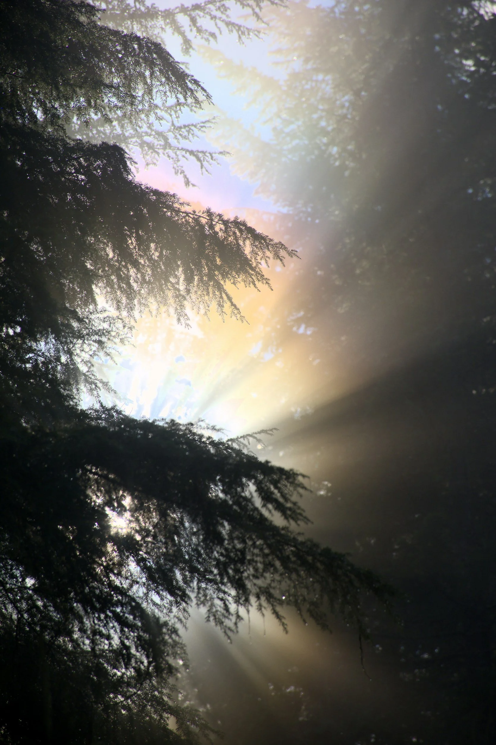 Reality is more than we have been led to believe