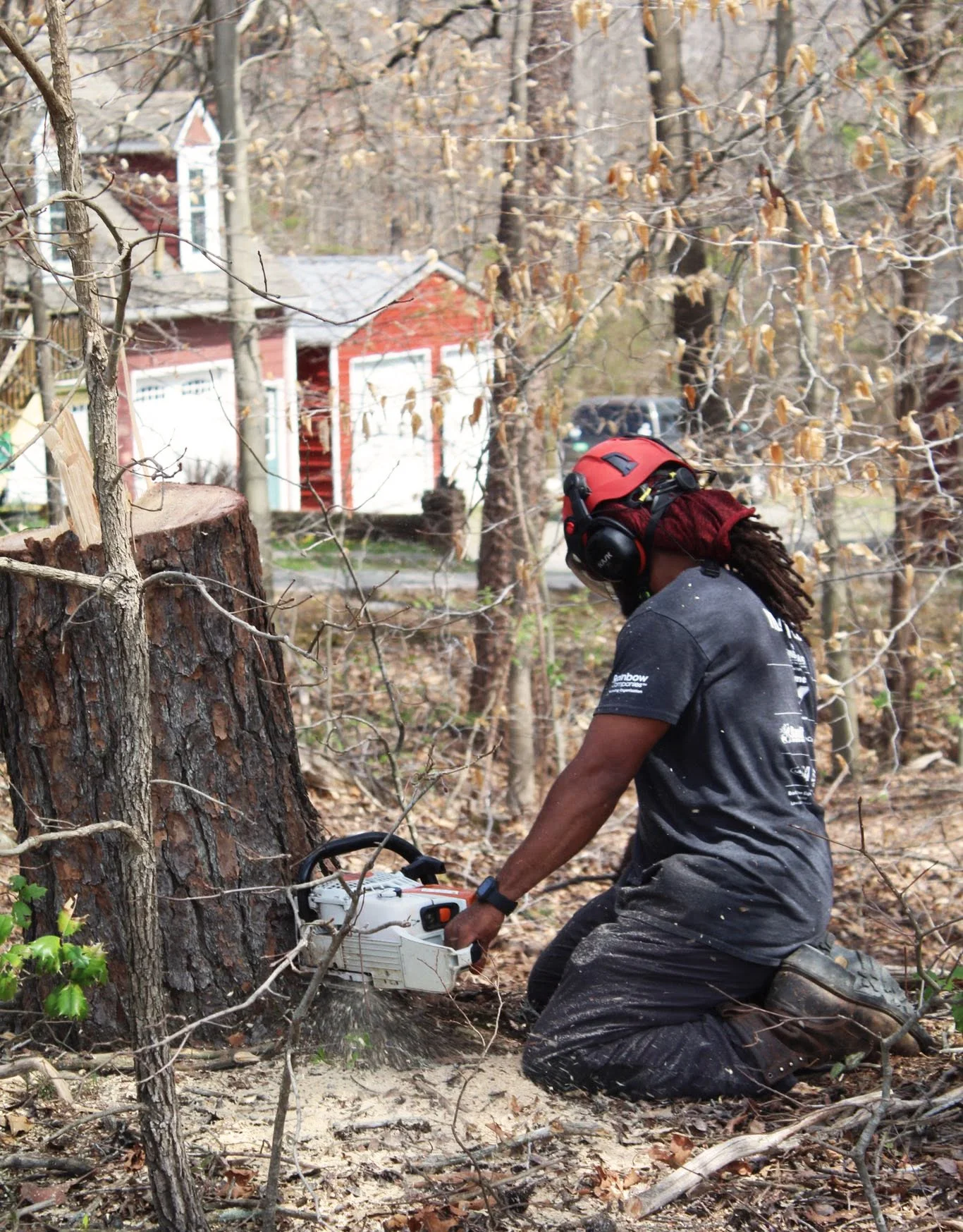 web-pic-2-stump-removal-wheeler-tree-co.jpg