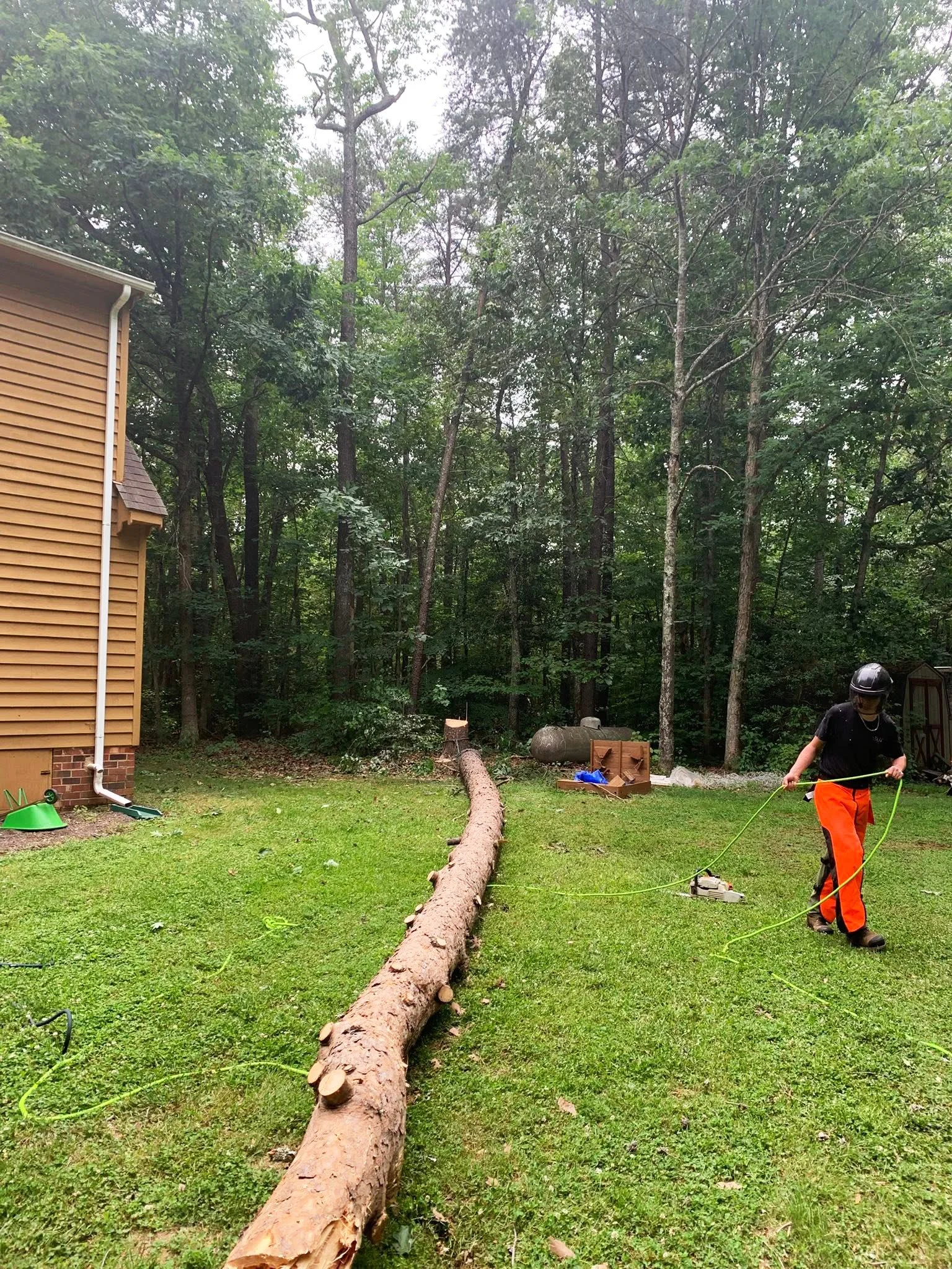 web-pic-4-tree-downed-in-yard-wheeler-tree-co.jpg