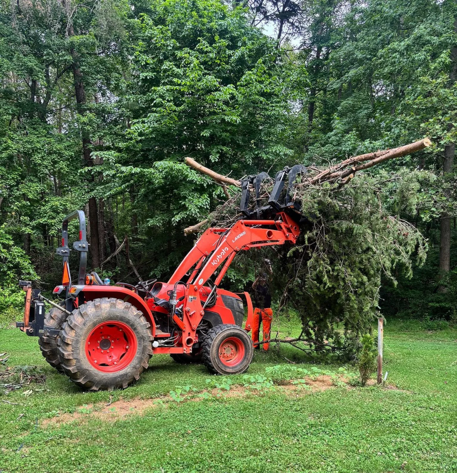 web-pic-5-branch-removal-with-tractor-wheeler-tree-co.jpg