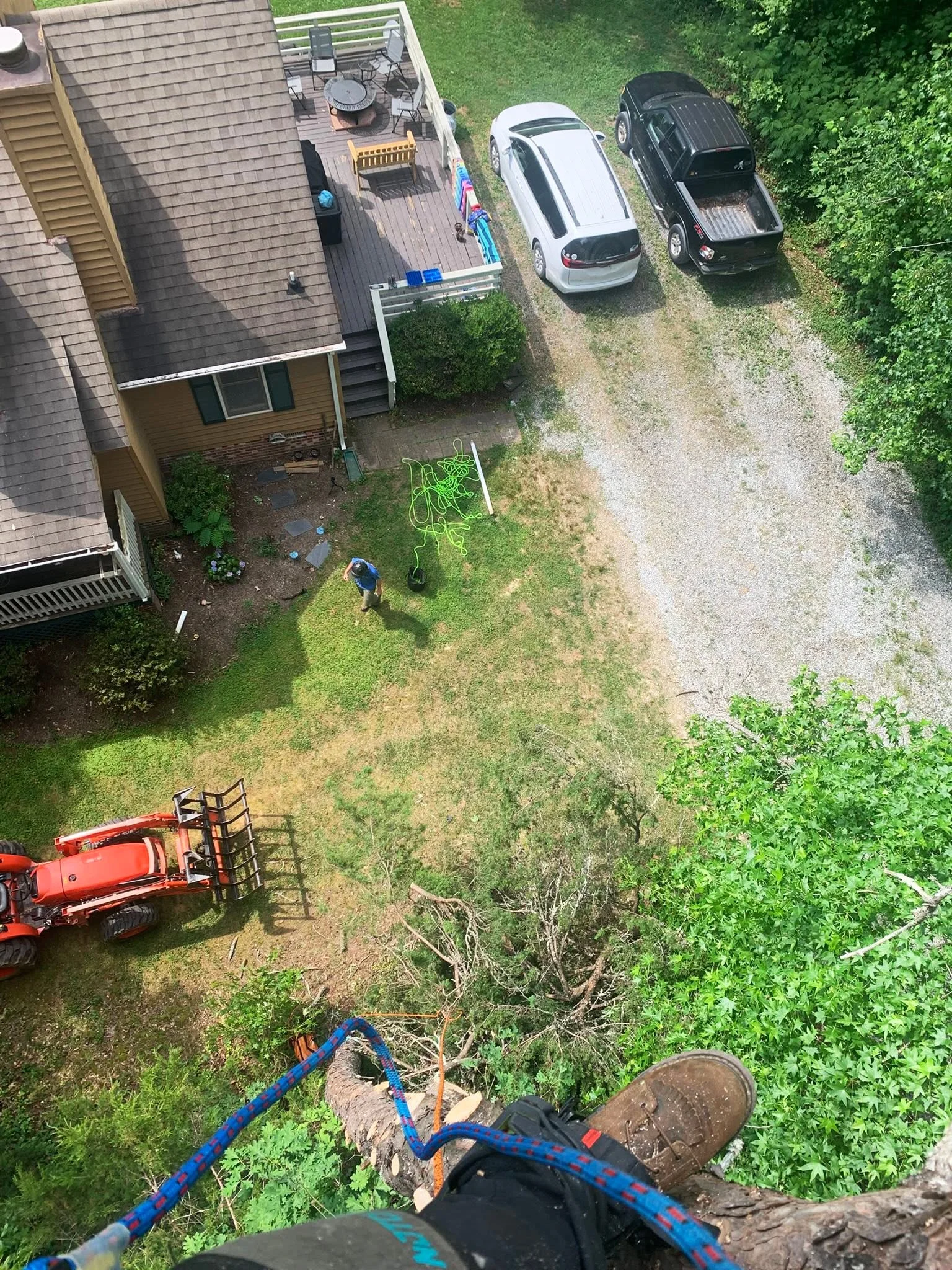 web-pic-8-tree-view-pic-wheeler-tree-co.jpg