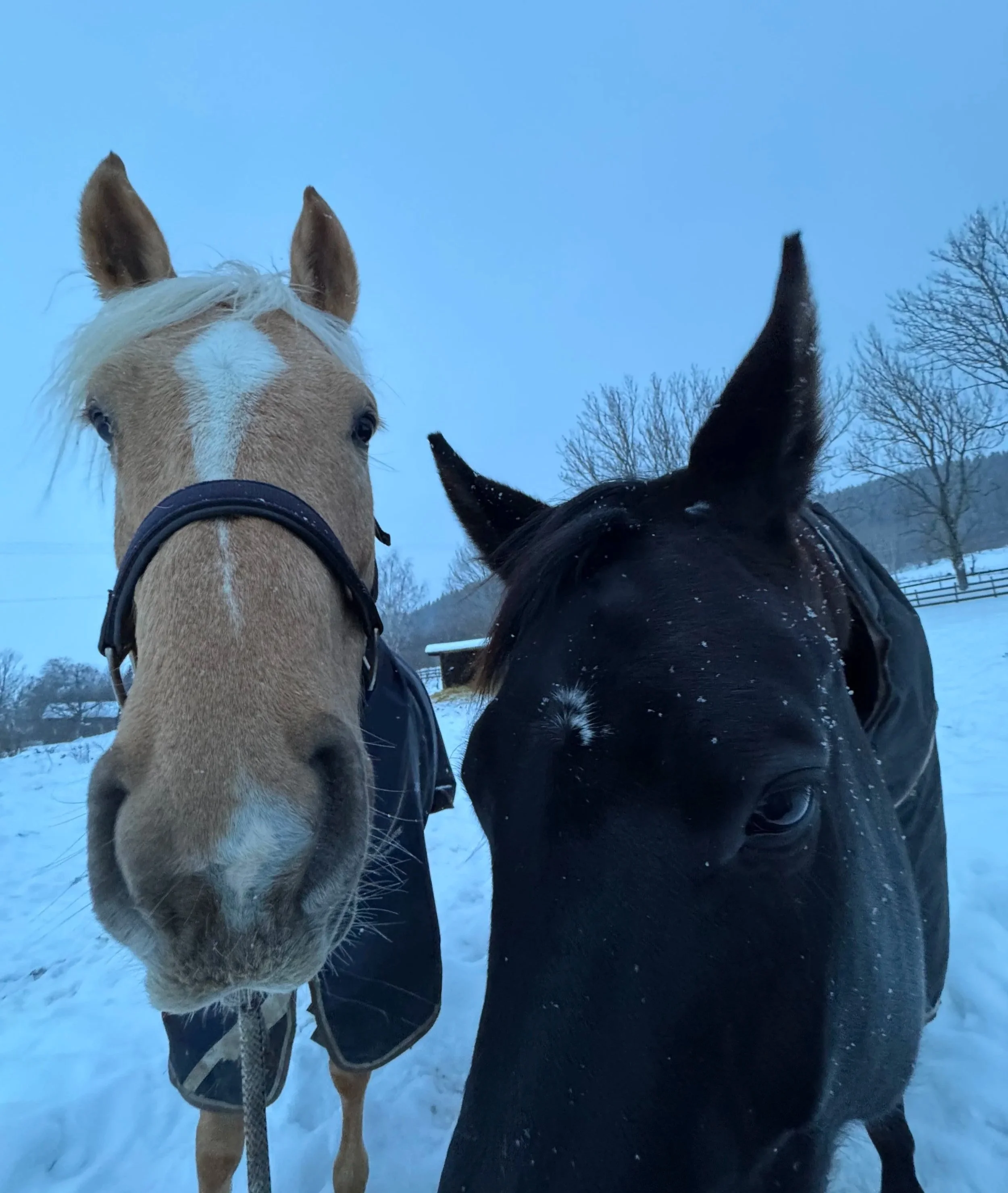 mine eventyr i februar