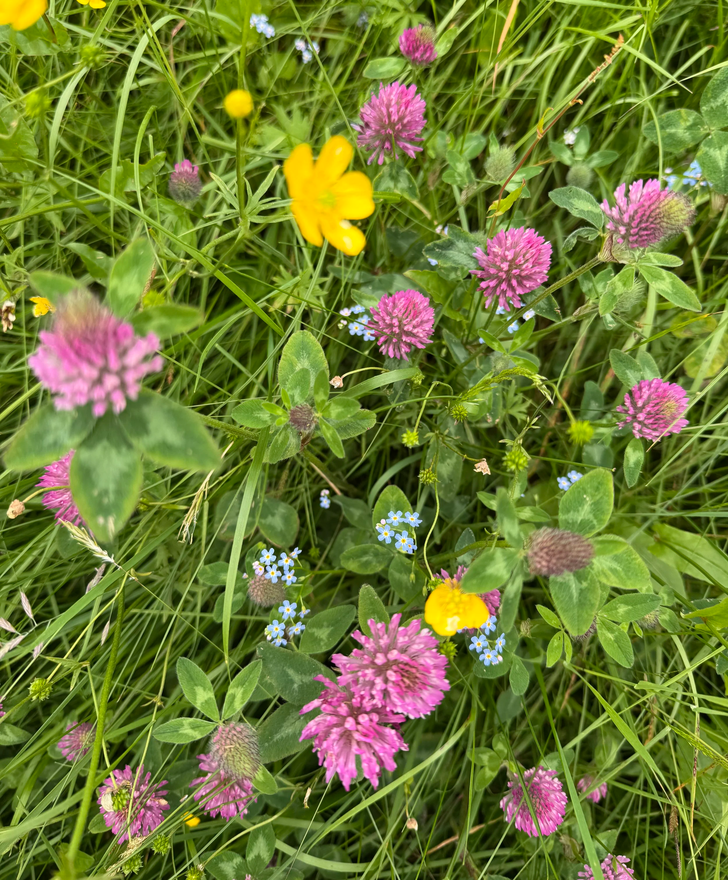 ein fin plass å stoppa opp litt🌼🌿 