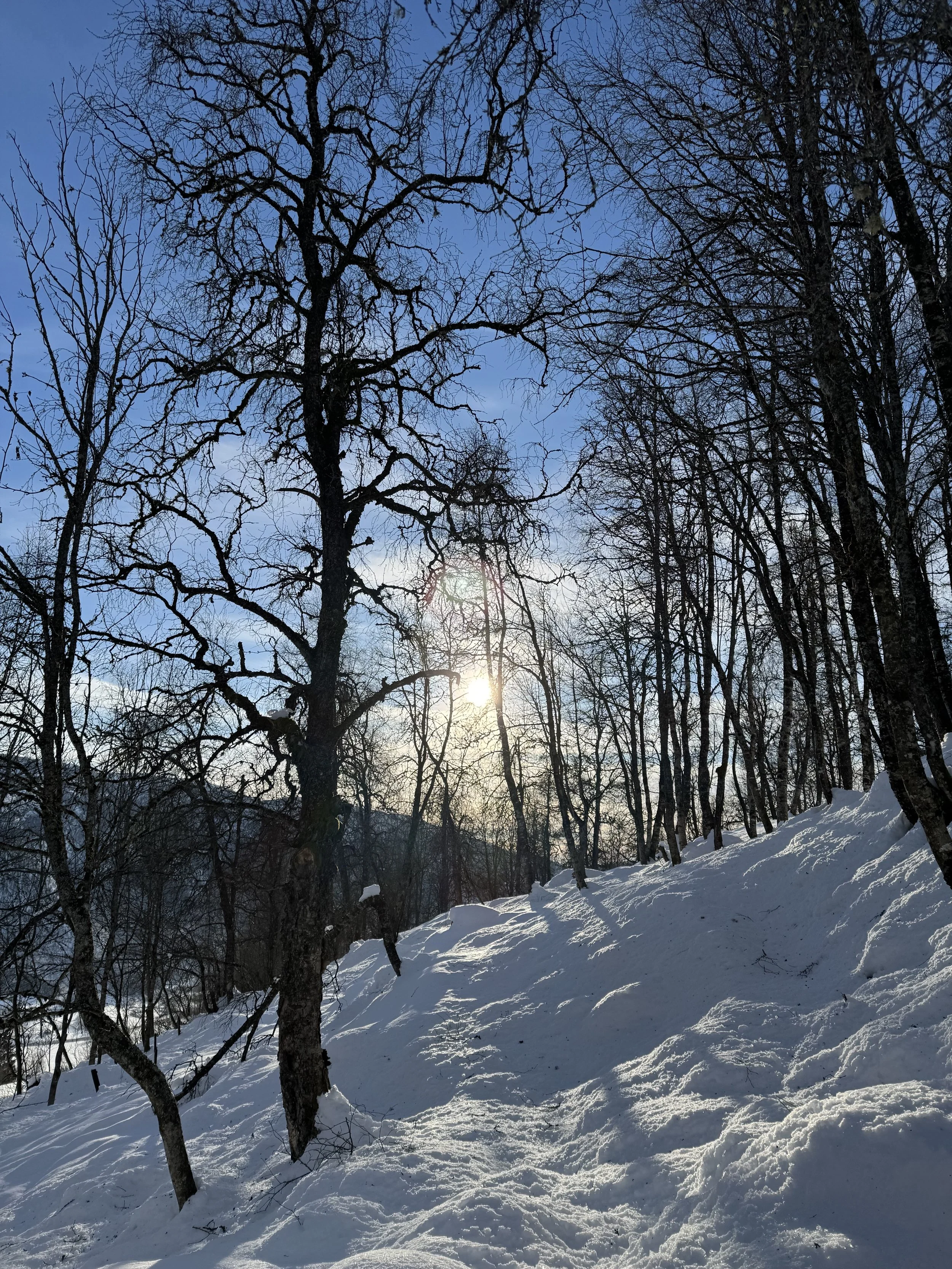 IMG_4607.jpeg