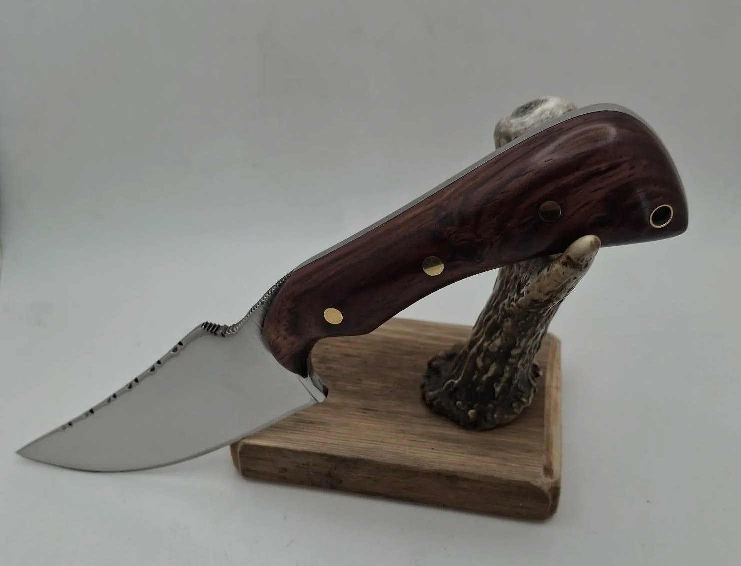 Honduran Rosewood Bobcat Knife