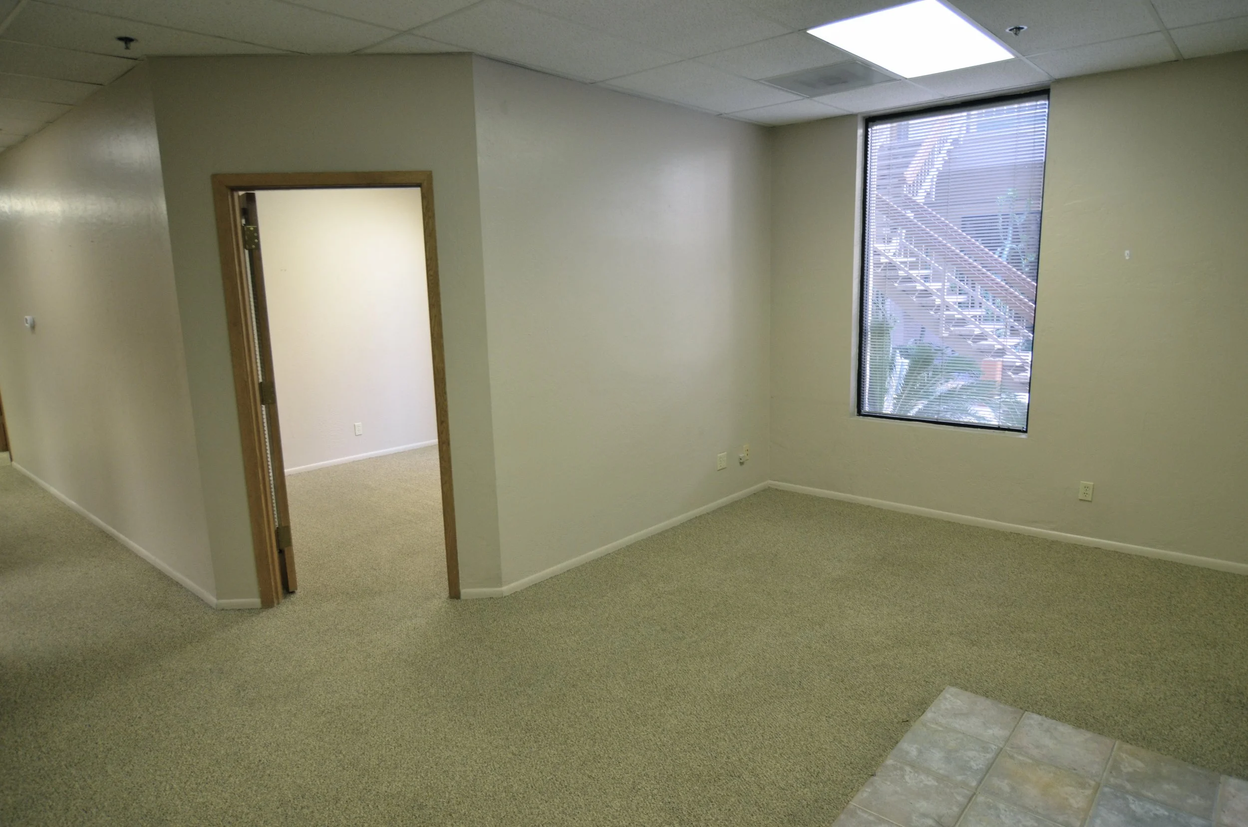 Empty office space with beige carpet, cream walls, fluorescent ceiling light, a large window with blinds showing outdoor stairs, and a doorway leading to another room.