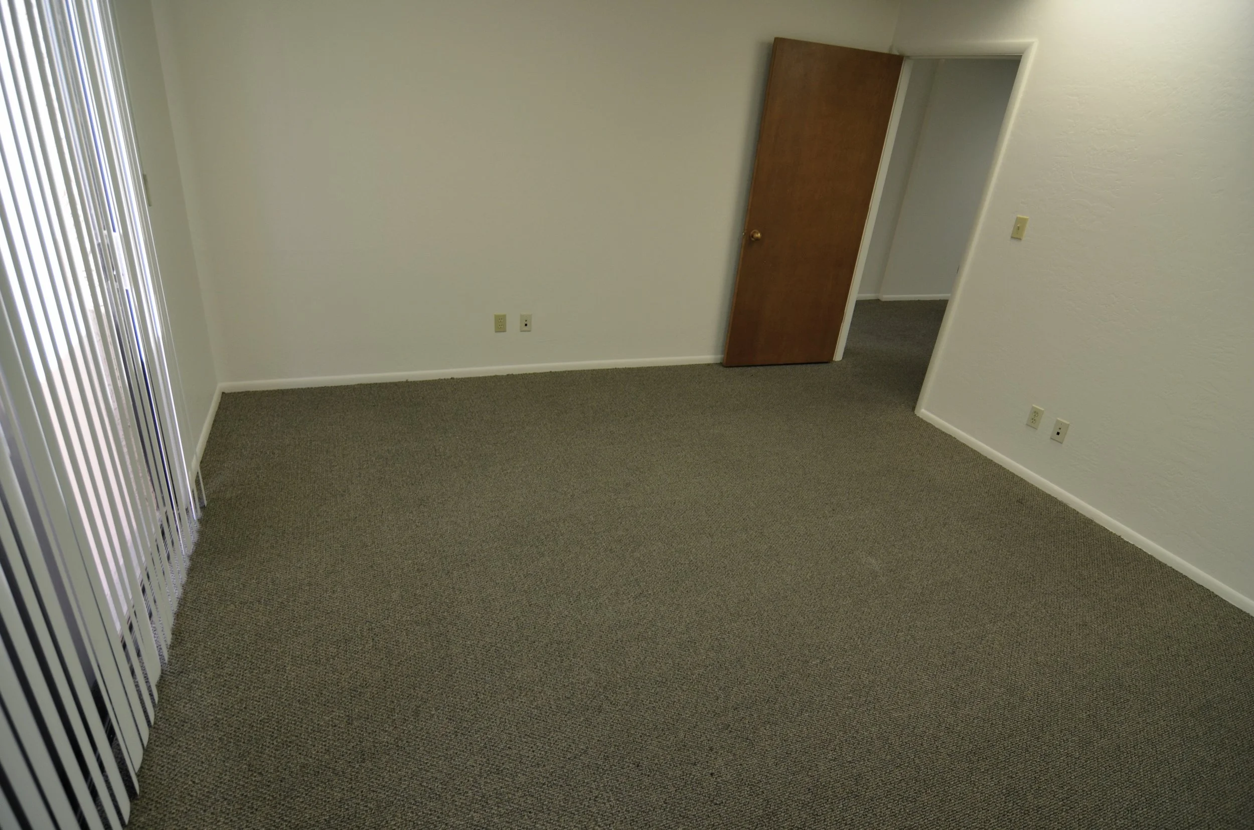 Empty room with beige carpet, white walls, a wooden door slightly ajar, and vertical blinds covering a window on the left side.