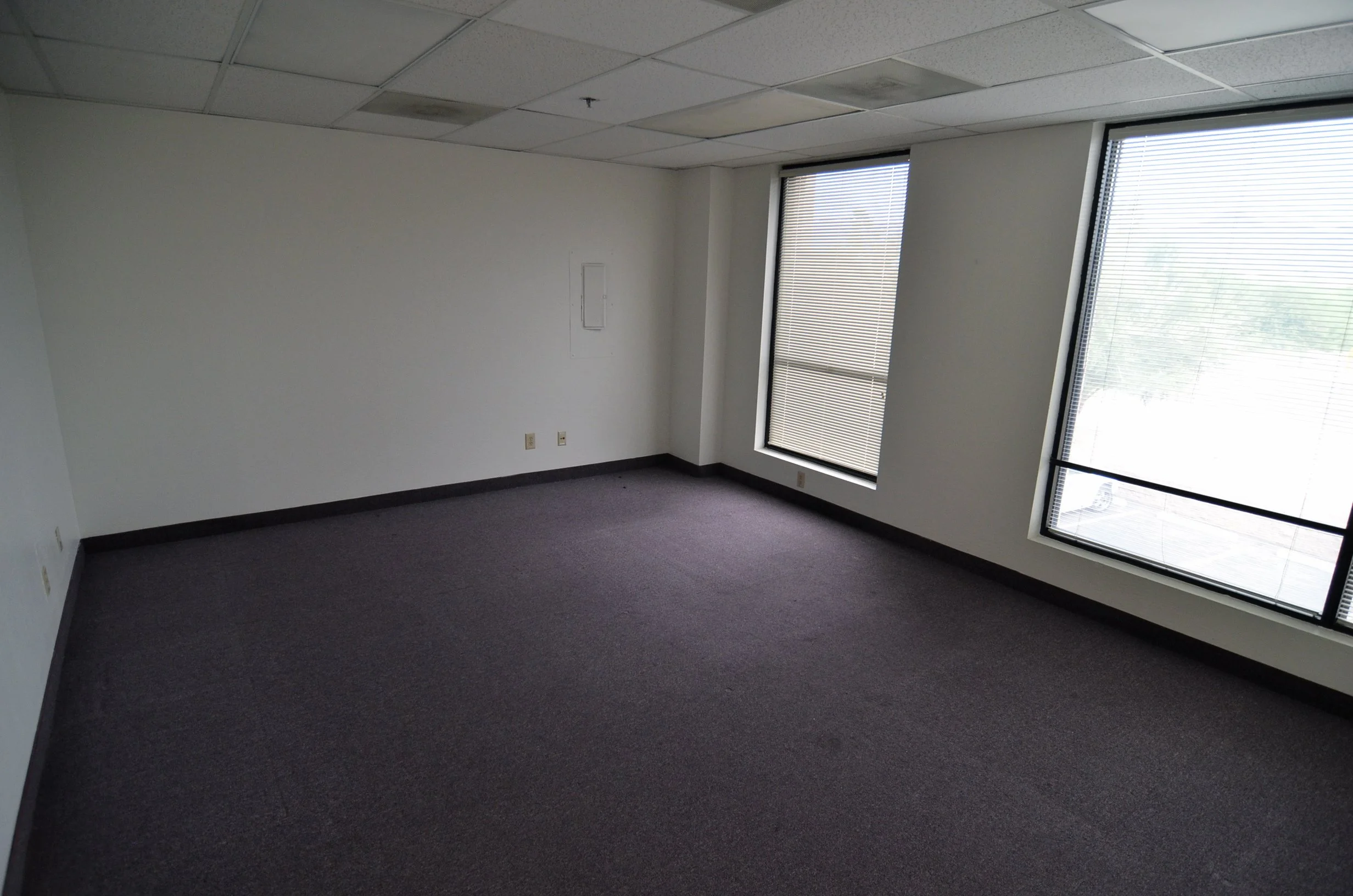 Empty office space with white walls, a gray carpeted floor, and large windows with blinds letting in natural light.