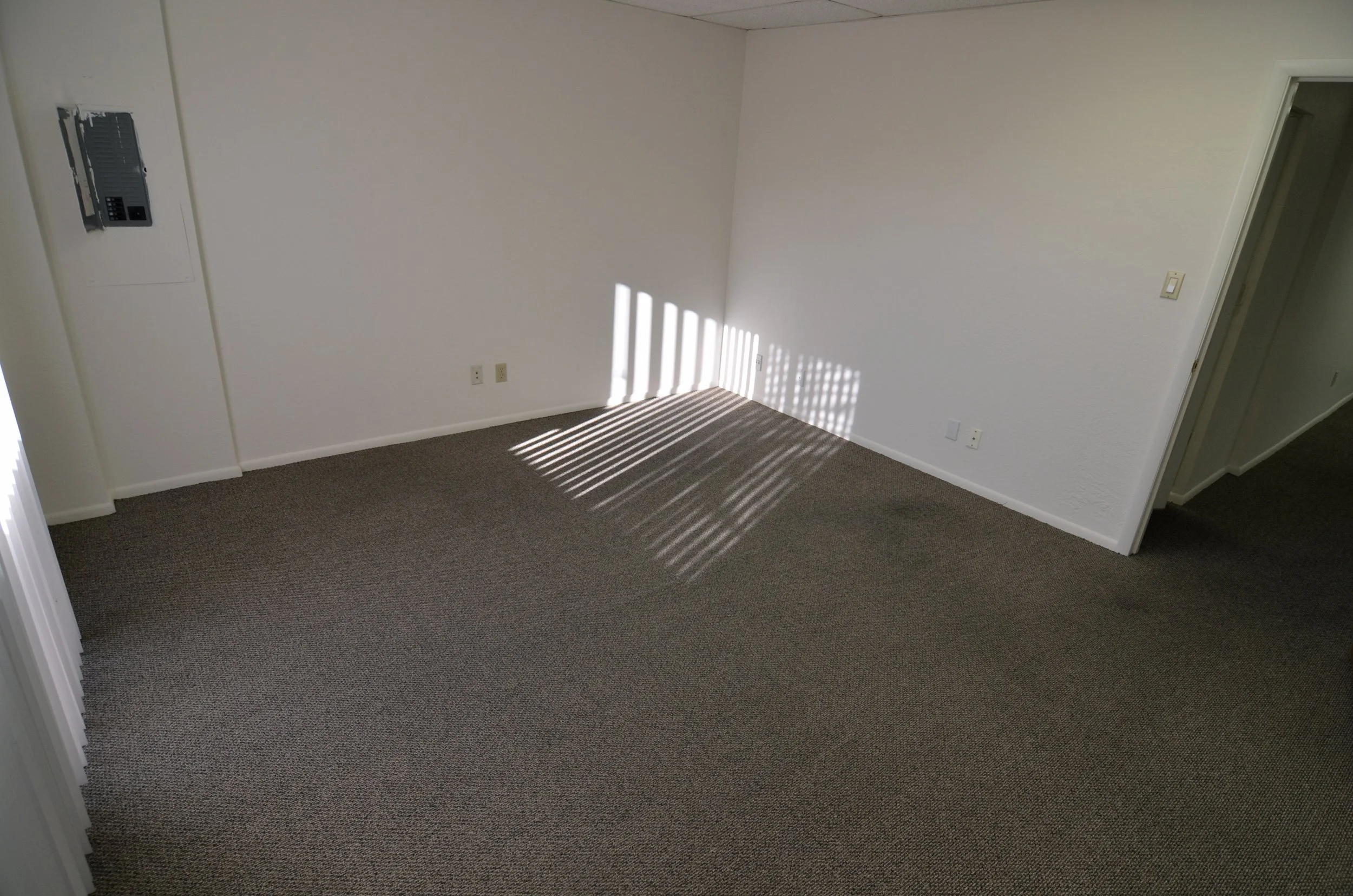Empty room with beige carpet, white walls, sunlight creating striped shadows, electrical outlets, and an open door to another room.