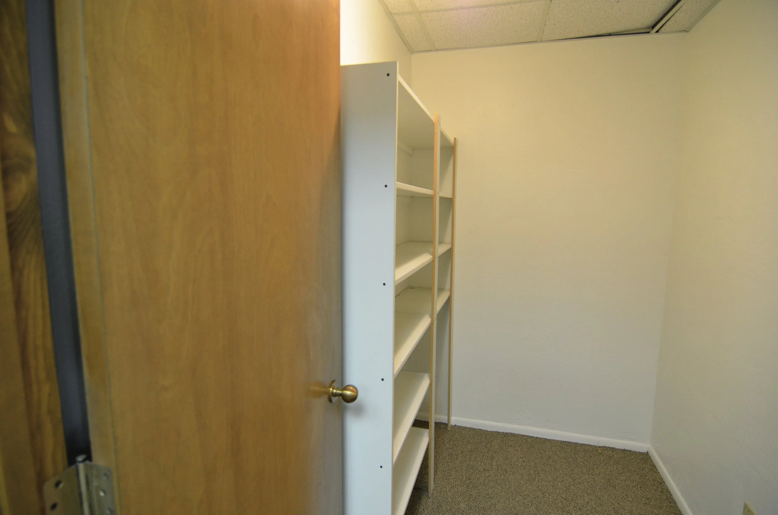 Empty white bookshelf in corner of beige room with brown carpet, viewed through a partially open wooden door.