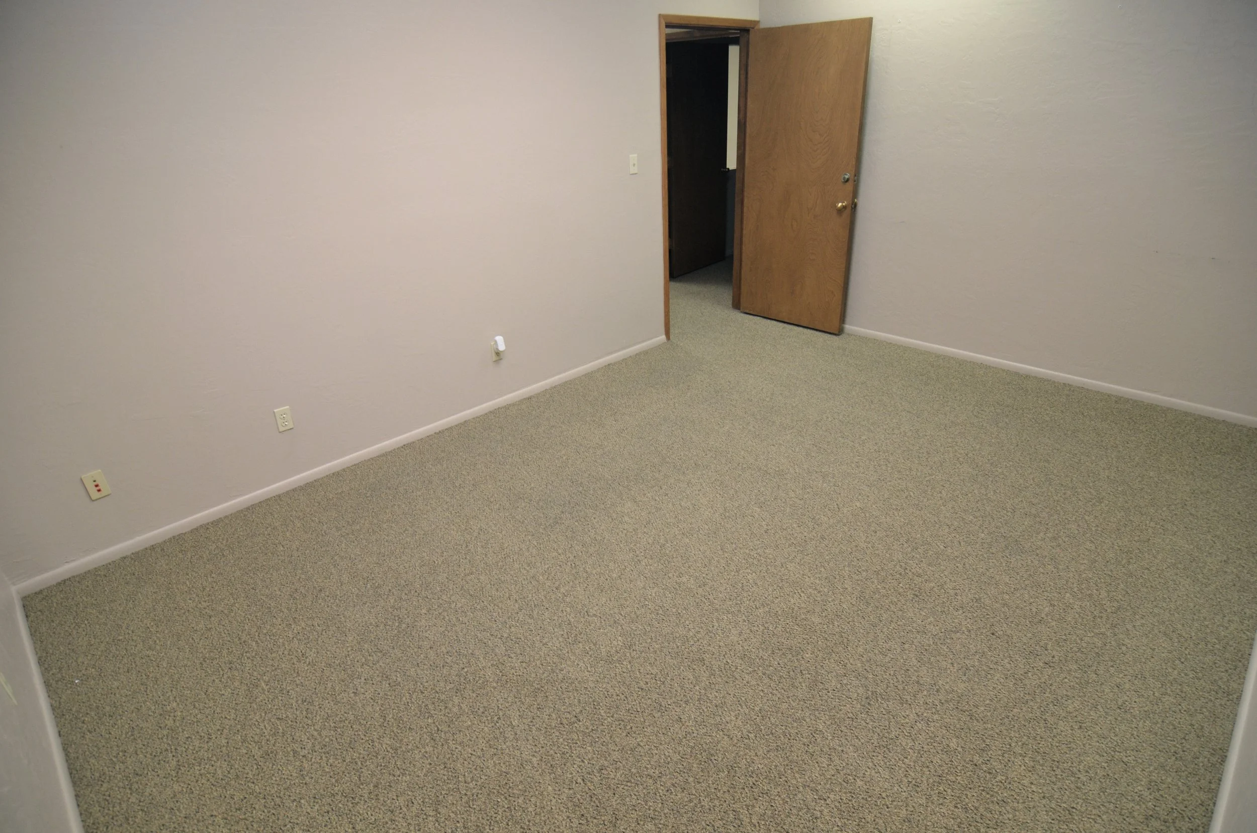 Empty room with beige carpeting, white walls, an open wooden door leading to a dark hallway, and several electrical outlets on the wall.