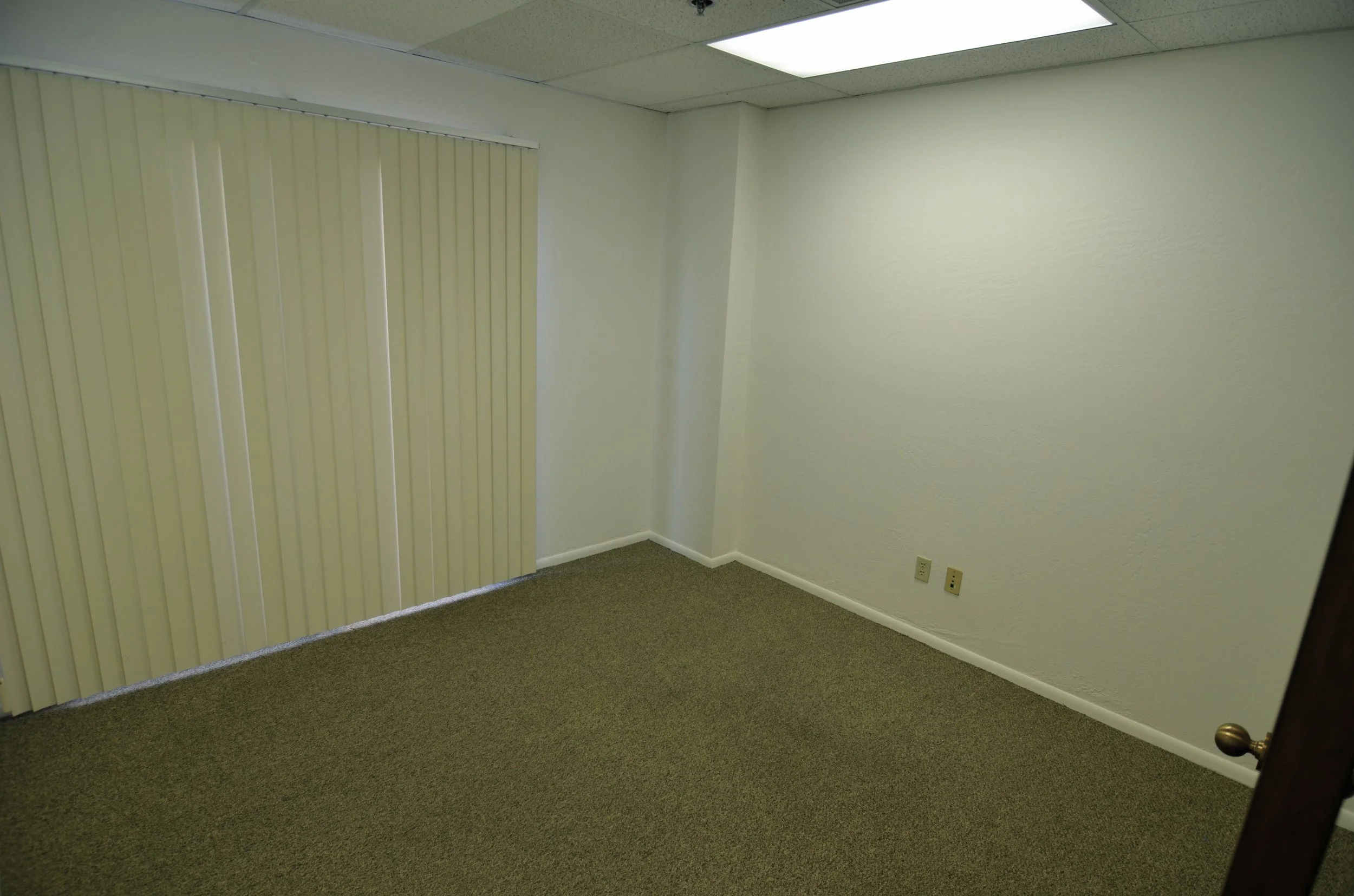 An empty office room with plain white walls, a window with vertical blinds, beige carpeting, and ceiling lights.