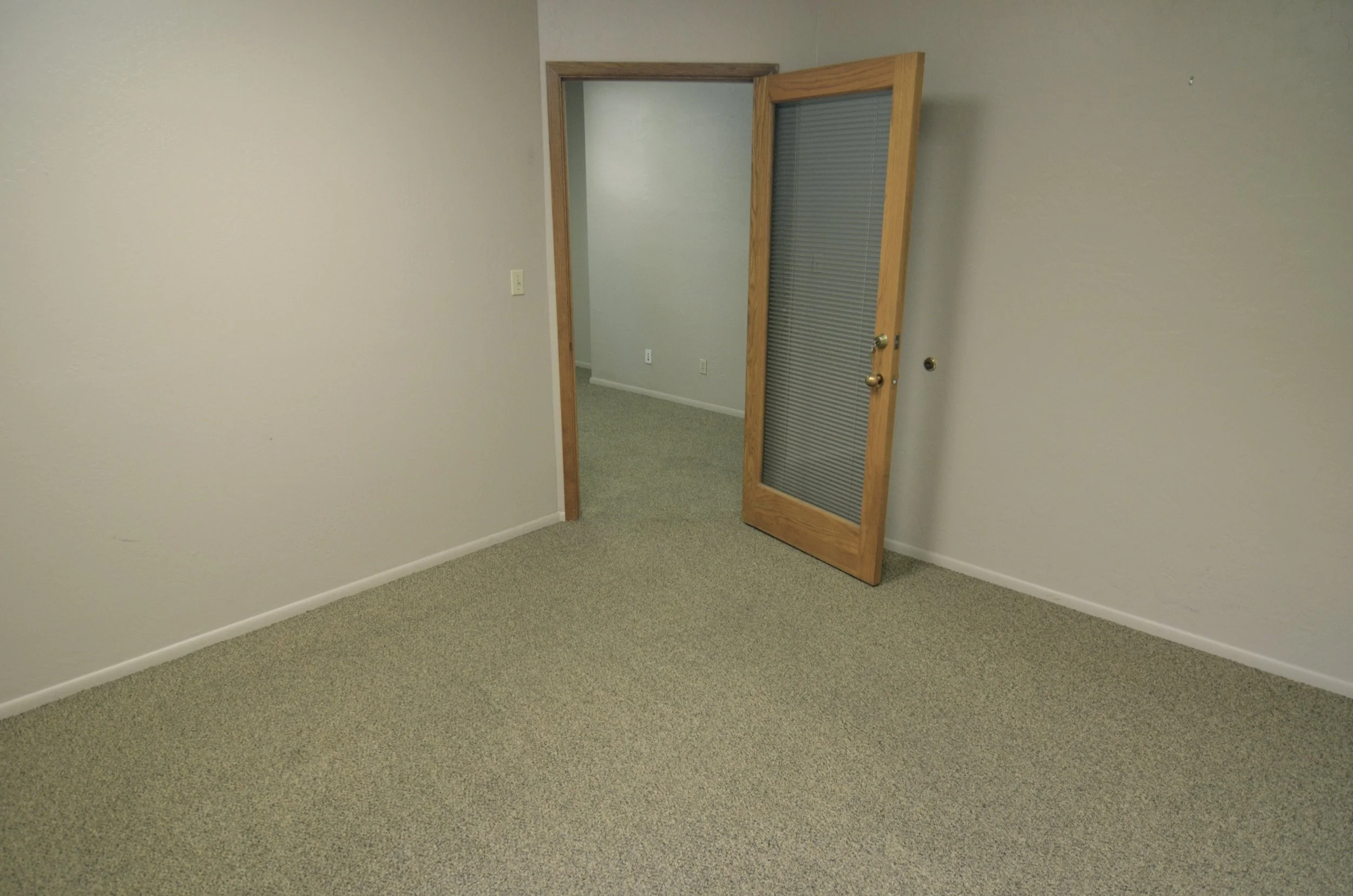 An empty room with beige carpet, beige walls, a wooden door with a glass panel, and electrical outlets.