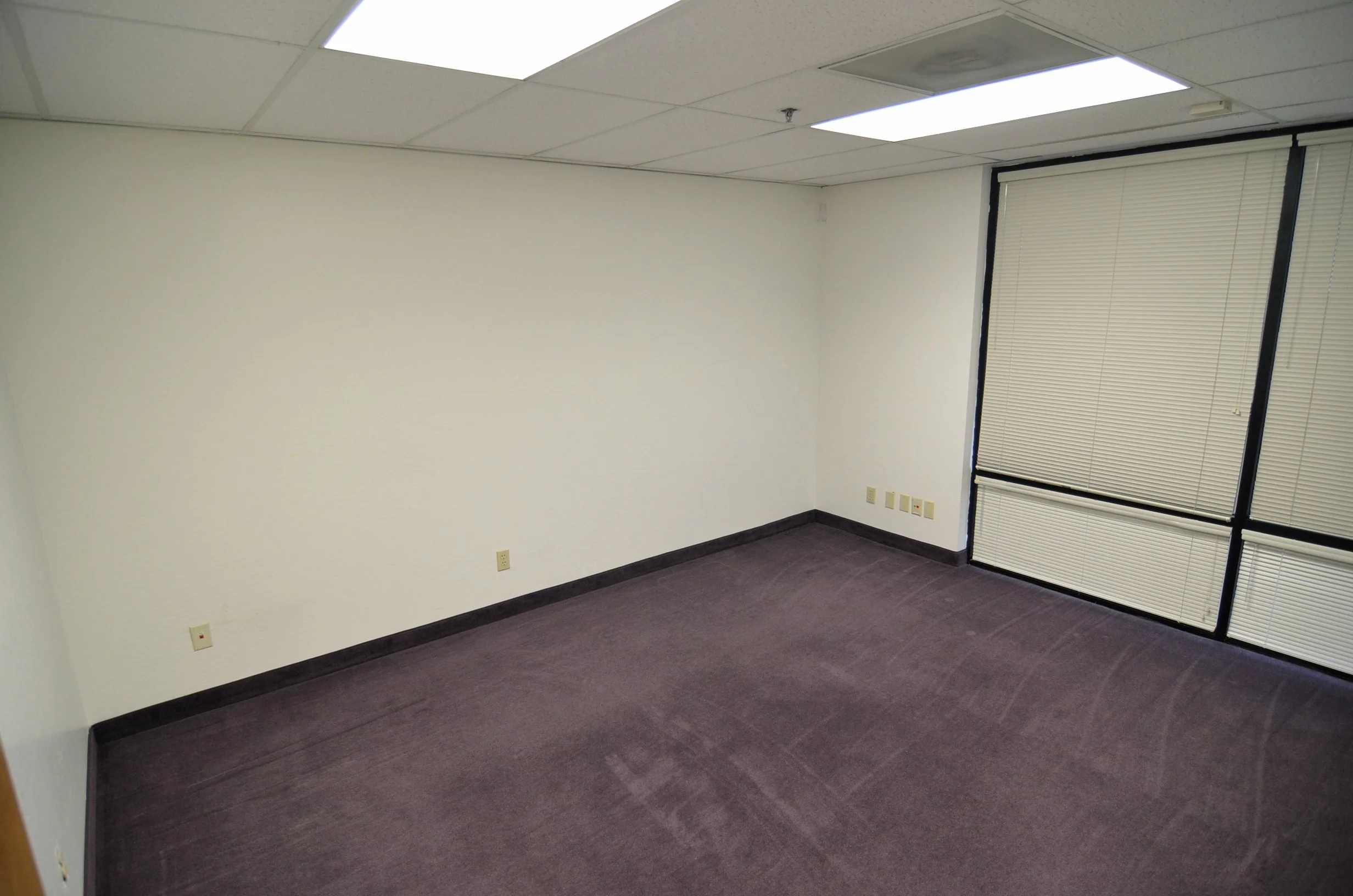 Empty office space with white walls, dark gray carpet, and a large window with closed blinds.
