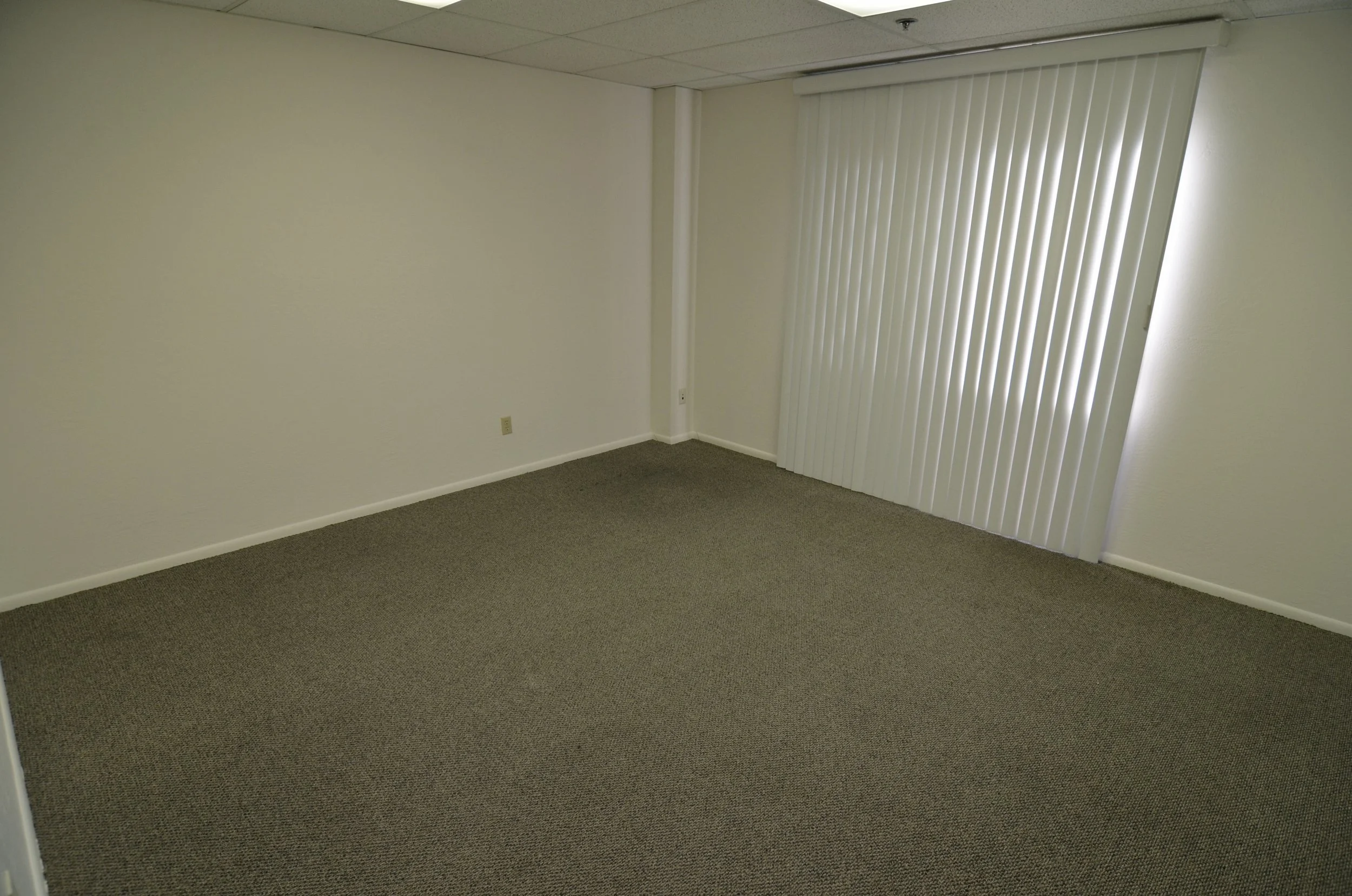 Empty beige room with a brown carpet, white walls, and a window with vertical blinds.