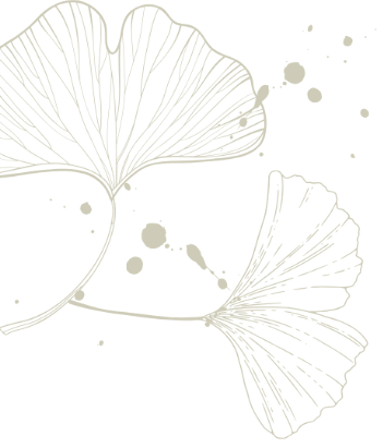 Grafische Darstellung von Ginkgo-Blättern in Weiß auf schwarzem Hintergrund mit dekorativen Punkten.