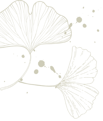 Zeichnung von Ginkgo-Blatt und Ginkgoblatt, schwarz-weiß, mit Pfützen