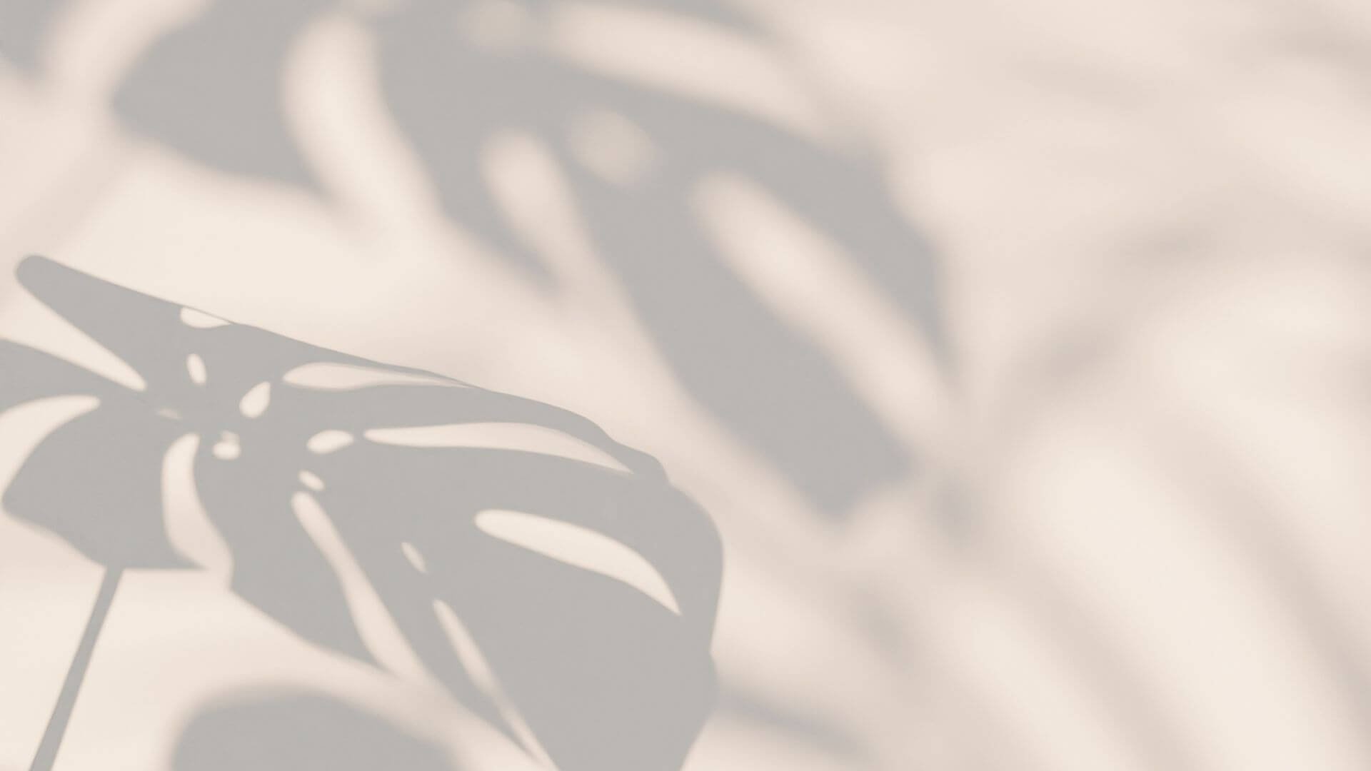 Schatten eines Monstera-Blattes auf einer hellen Oberfläche.